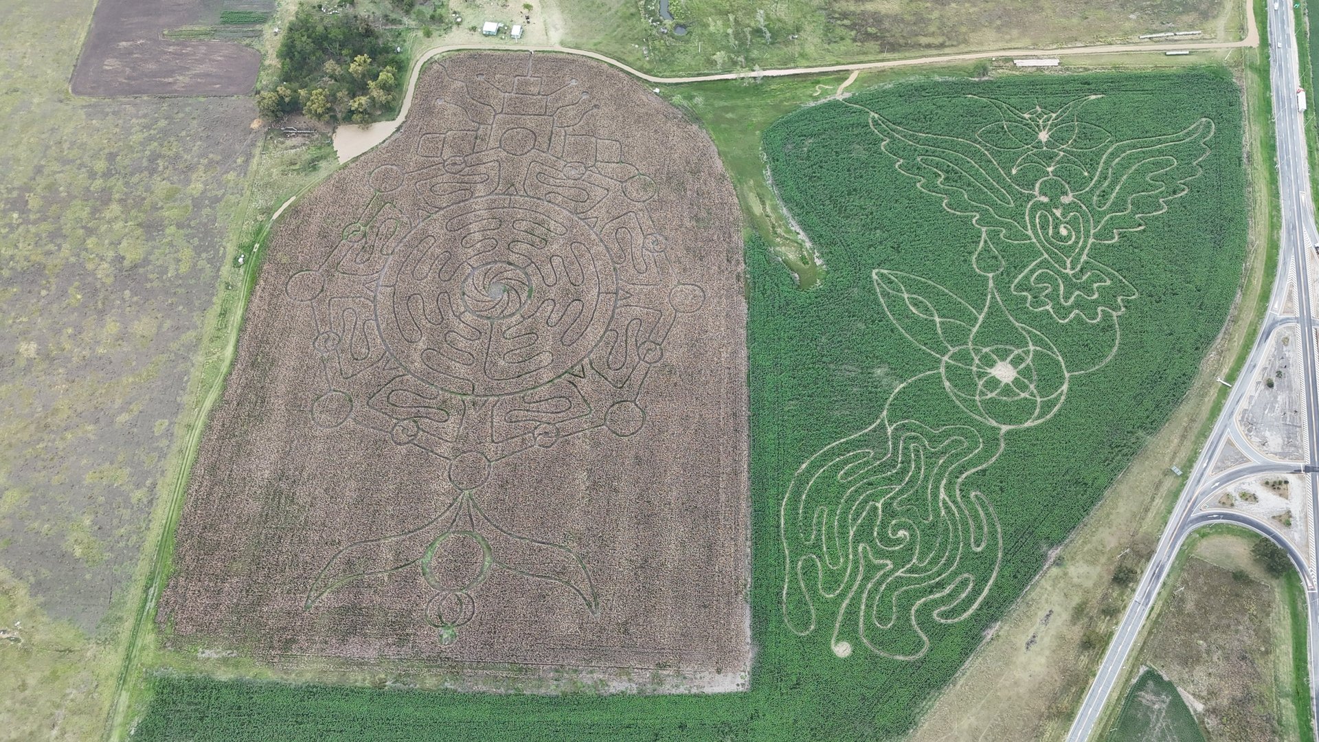 black blue and yellow textile