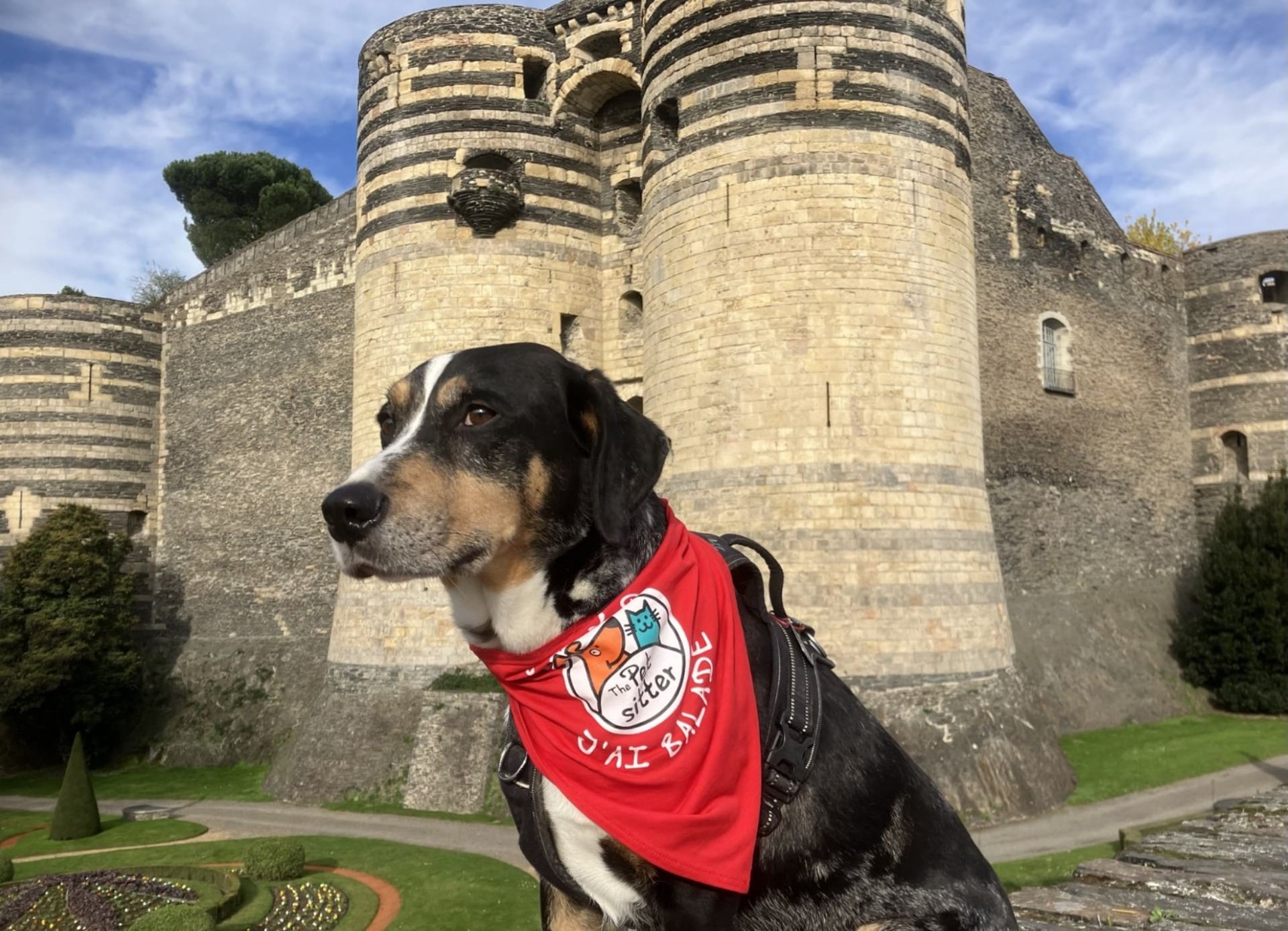 black and brown leather padded tub sofa