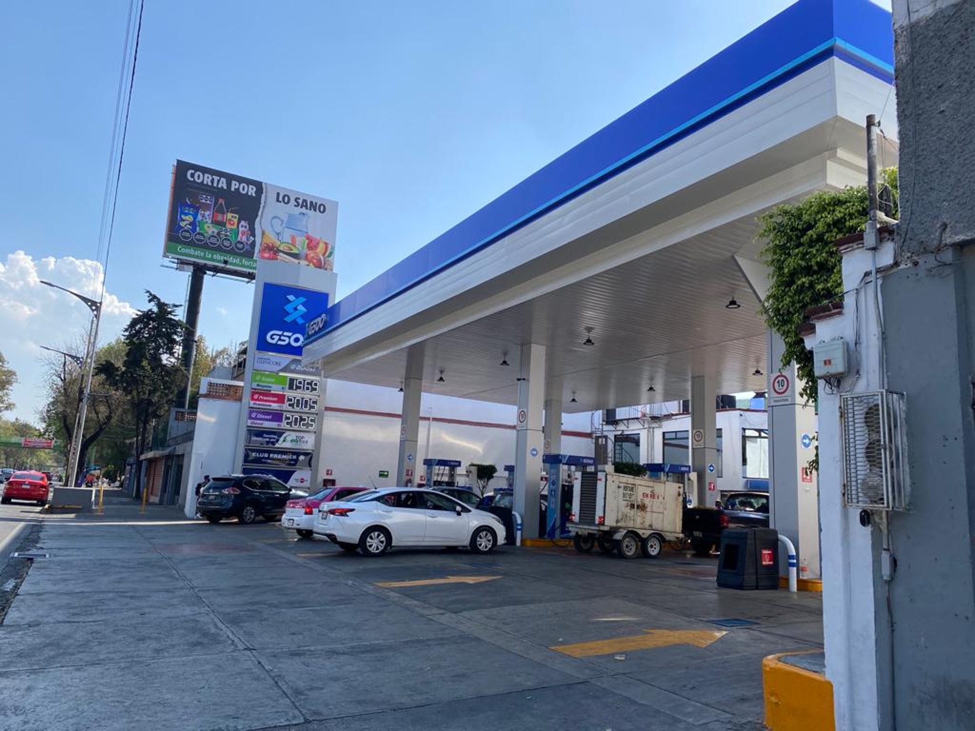 woman wearing yellow long-sleeved dress under white clouds and blue sky during daytime