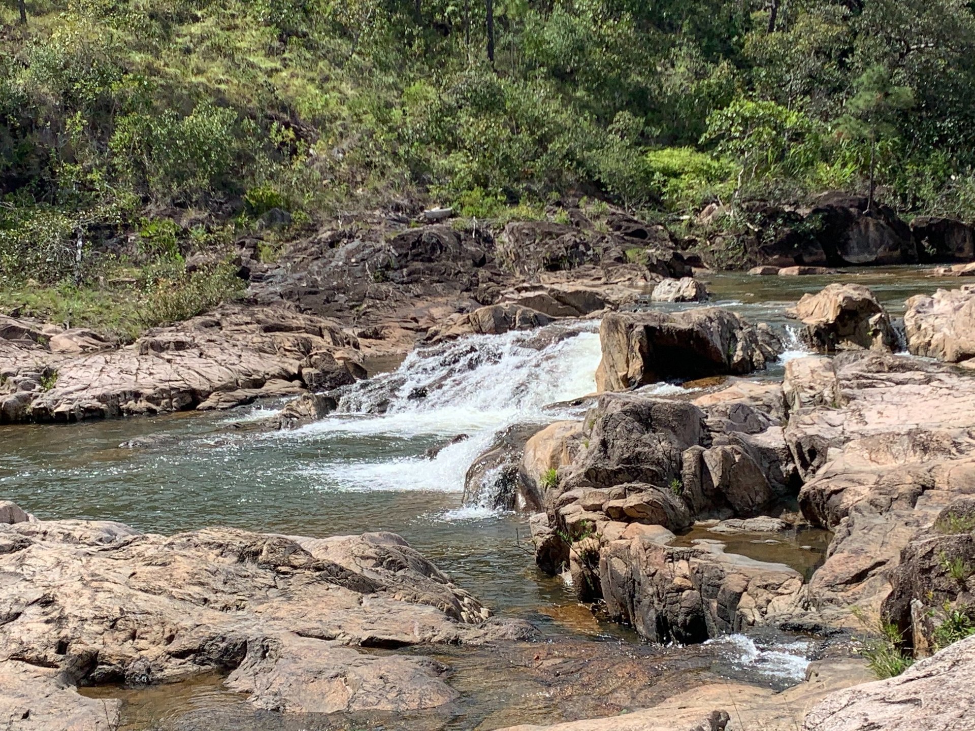 black and white bed linen