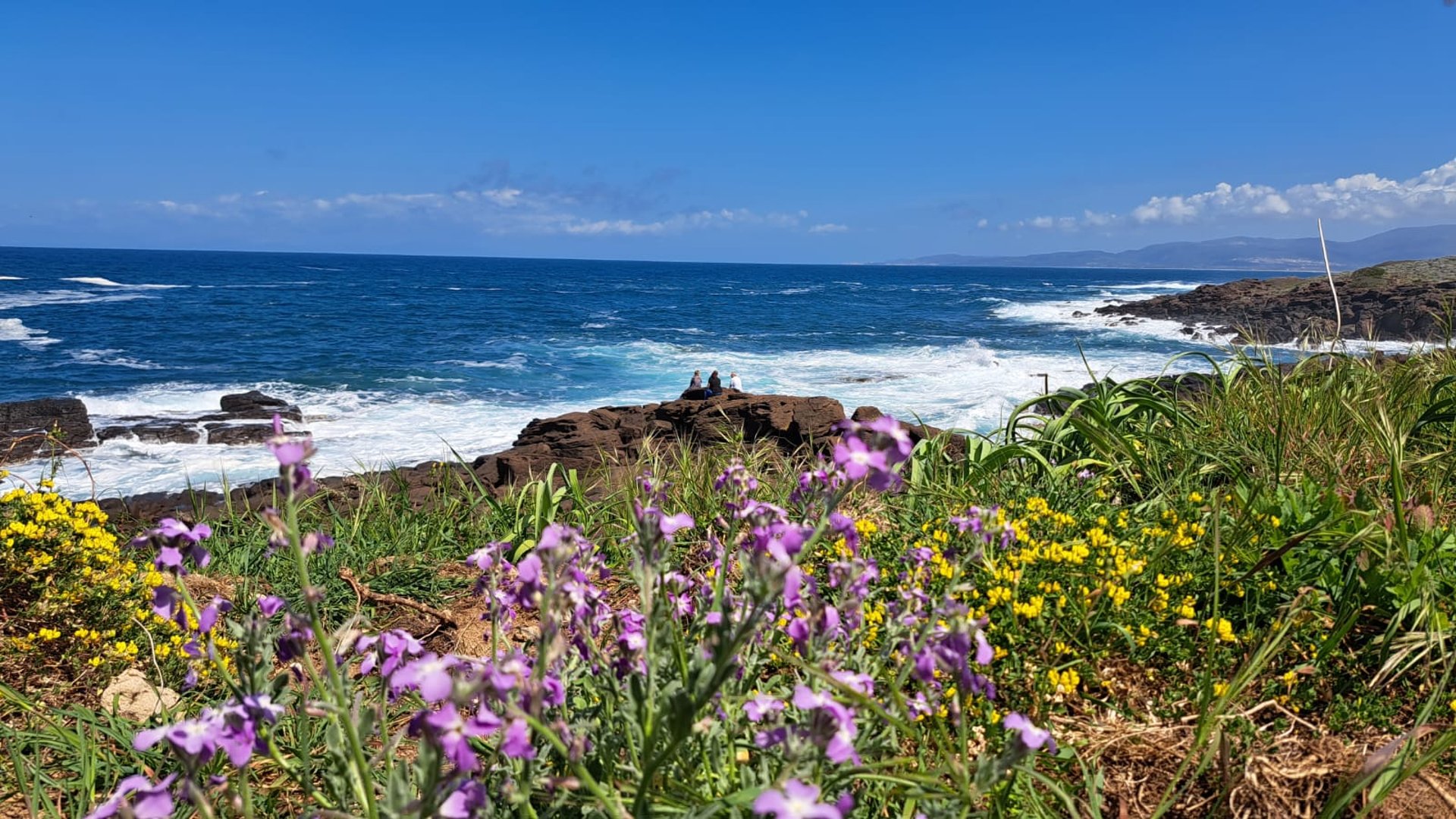 woman wearing yellow long-sleeved dress under white clouds and blue sky during daytime