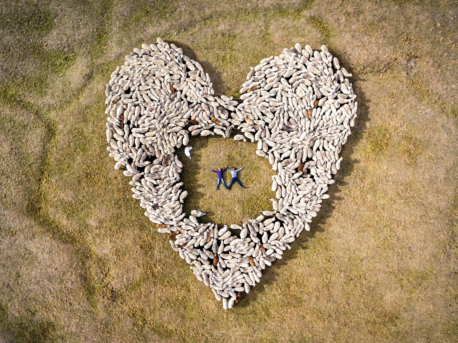 an abstract photo of a curved building with a blue sky in the background