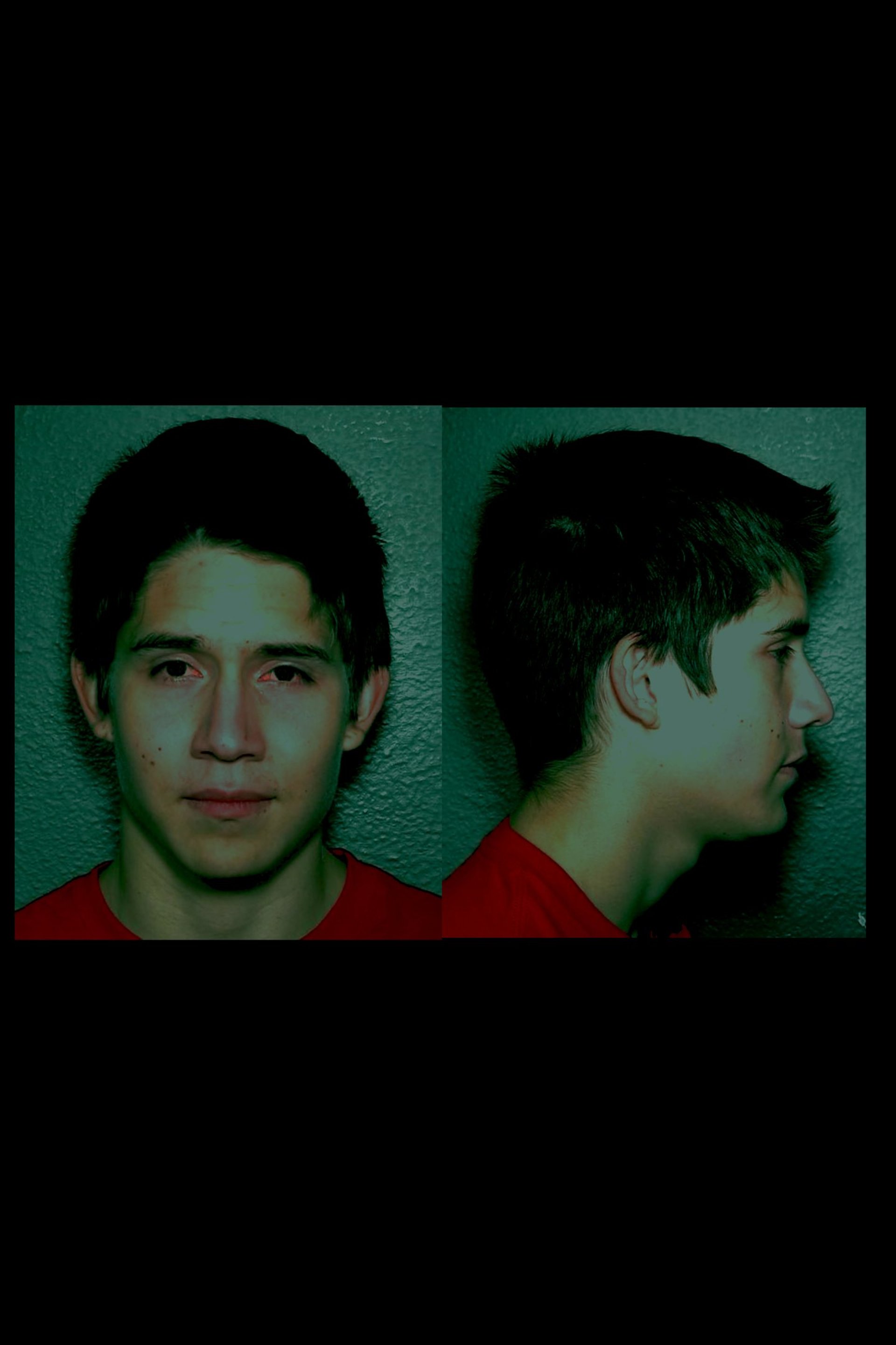 black and brown leather padded tub sofa