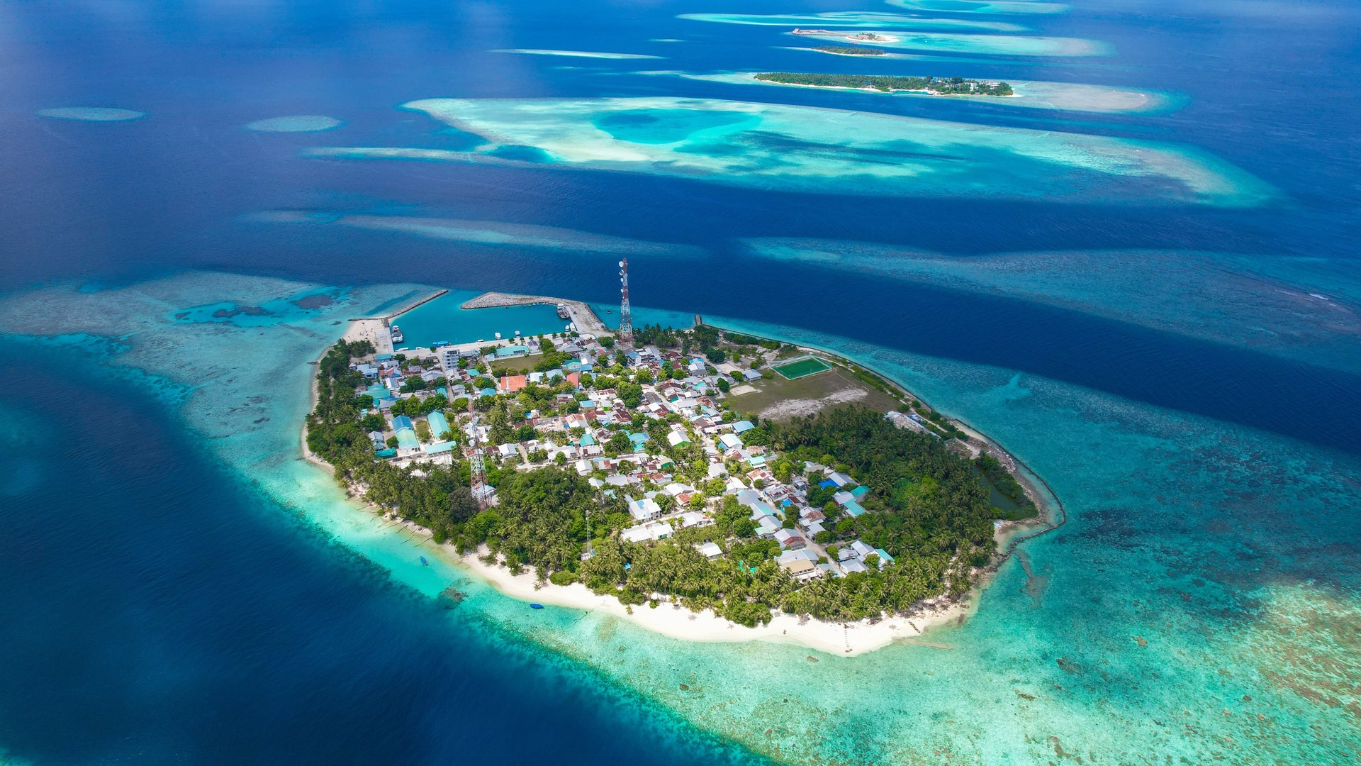 people on beach during daytime