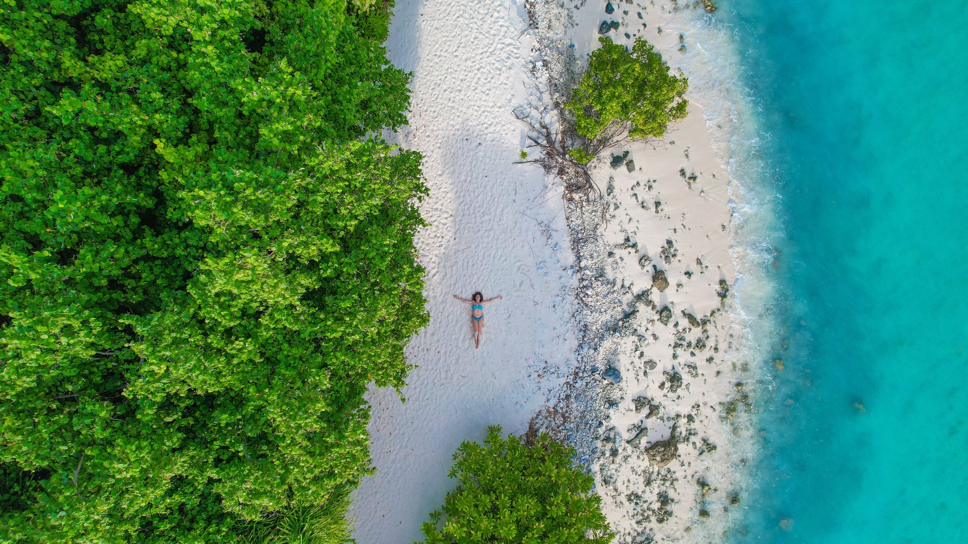 person holding white sea shell in the sea during daytime