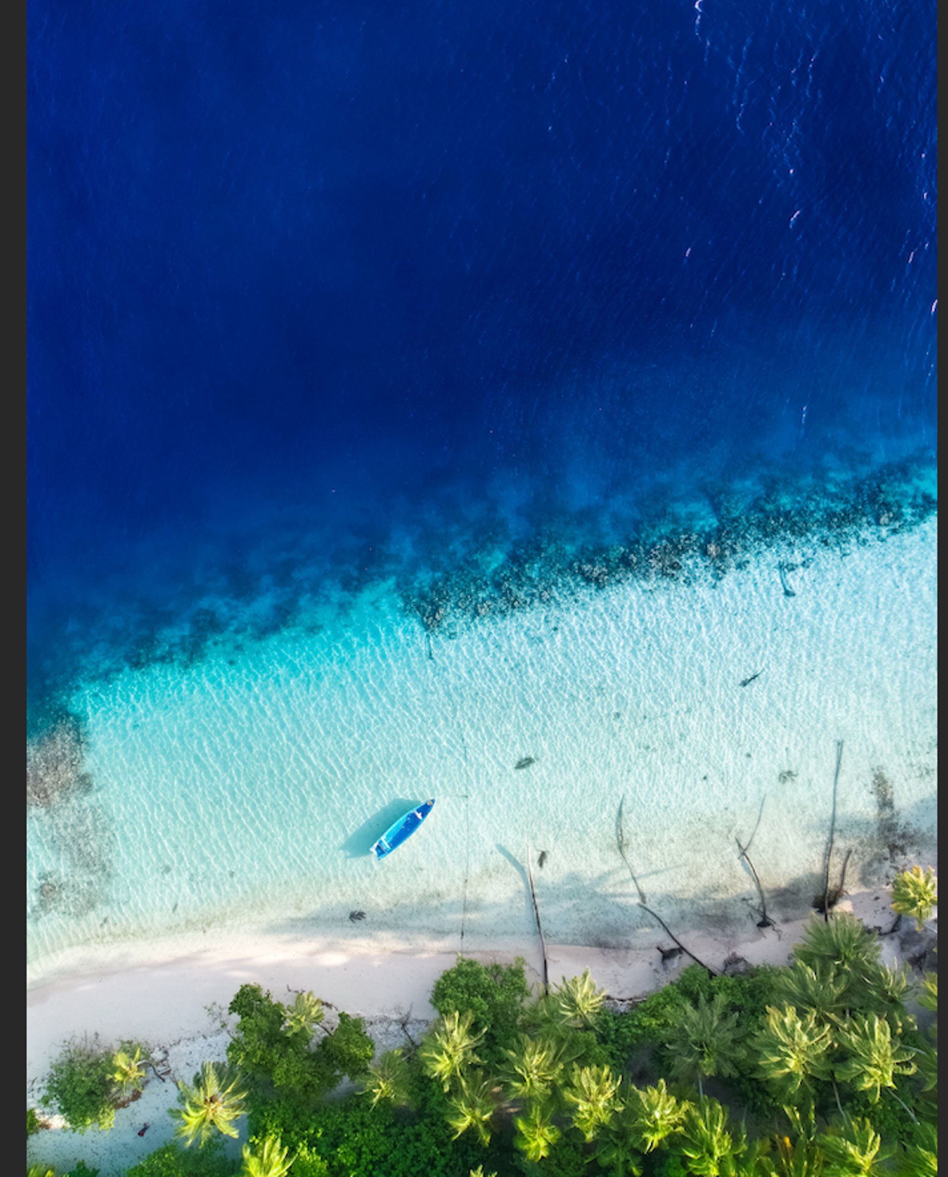 black blue and yellow textile