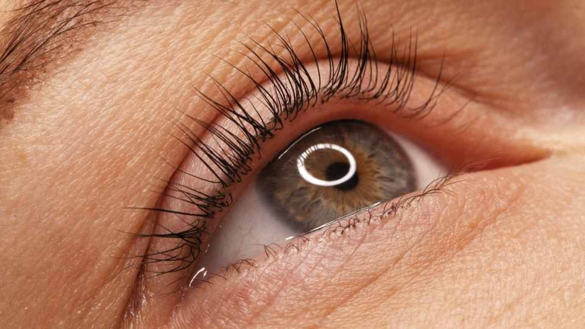 Nova - Lash Lift