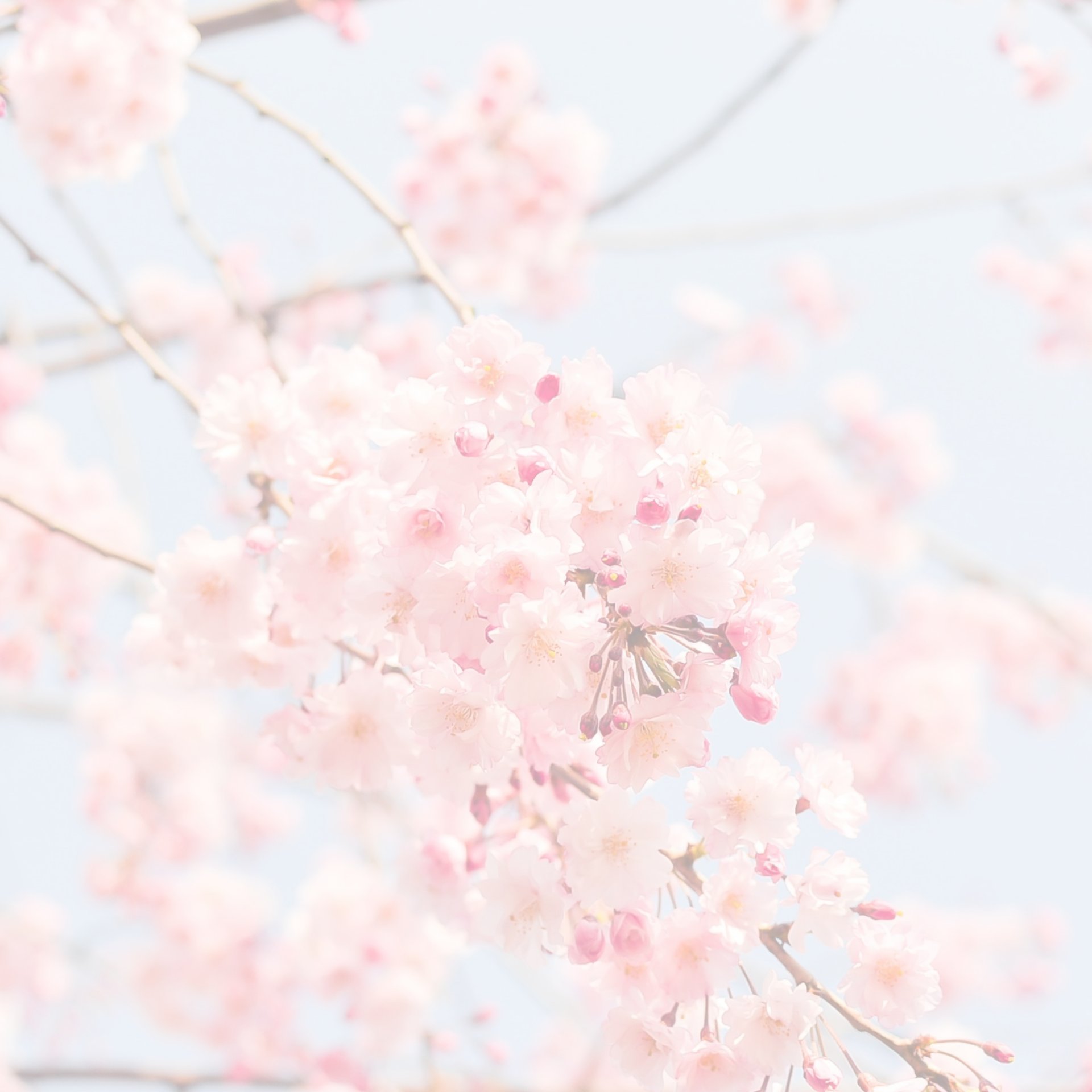 a close up of a white wall with wavy lines