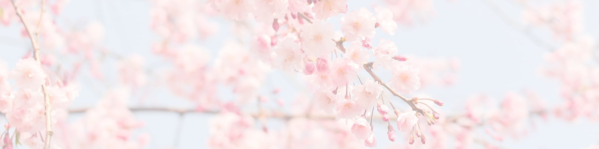 a desert scene with a white and orange background