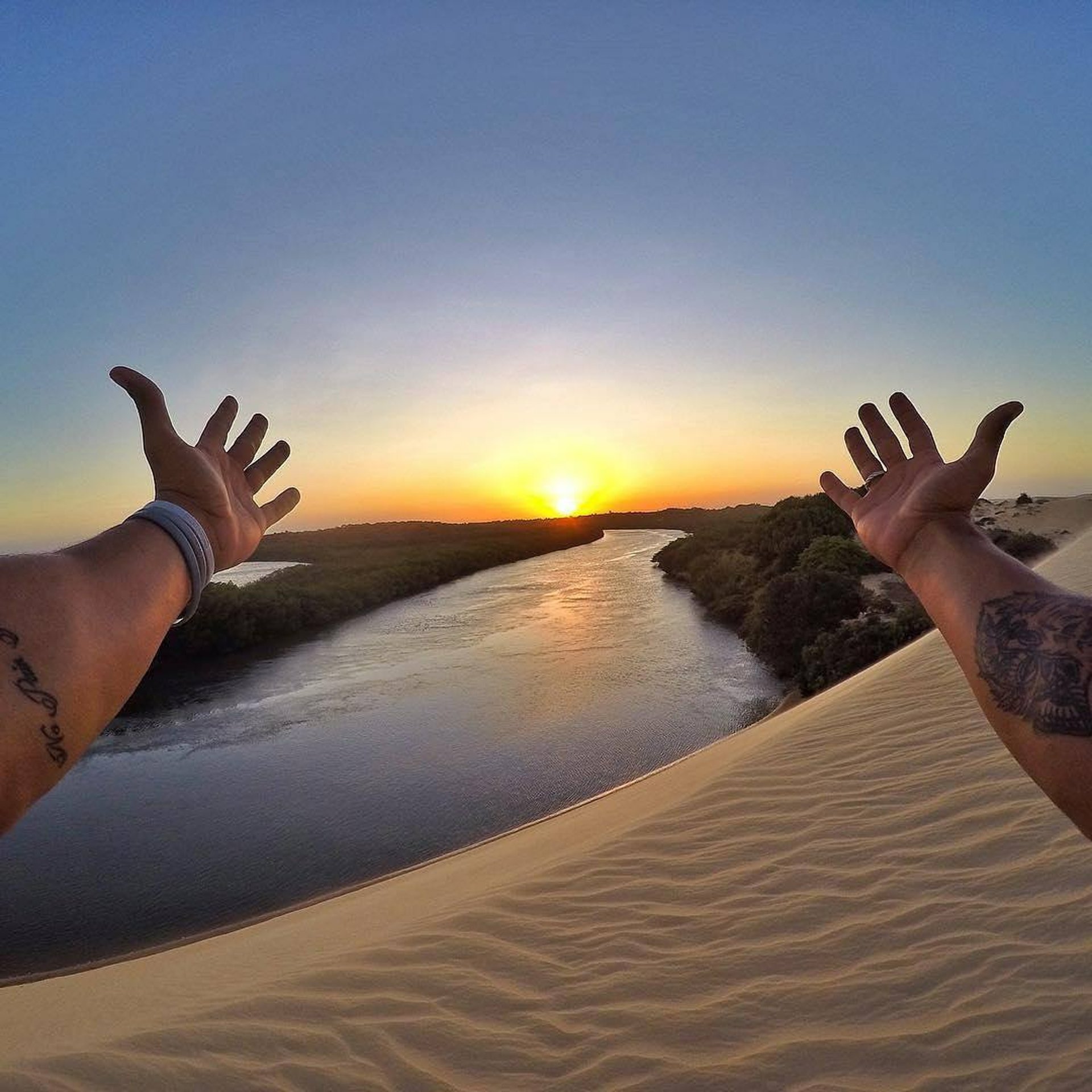 black and white bed linen