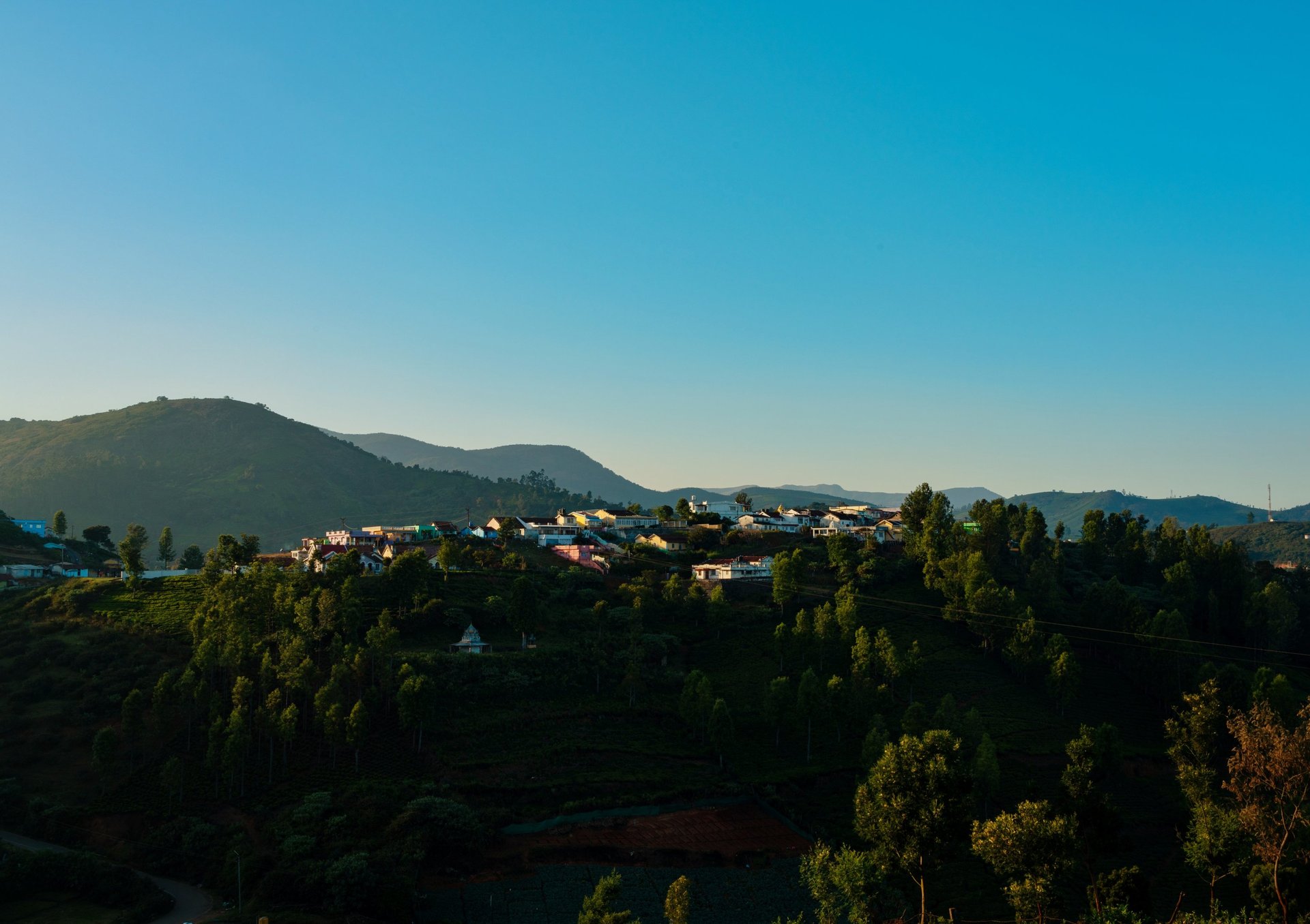 yellow and white abstract painting
