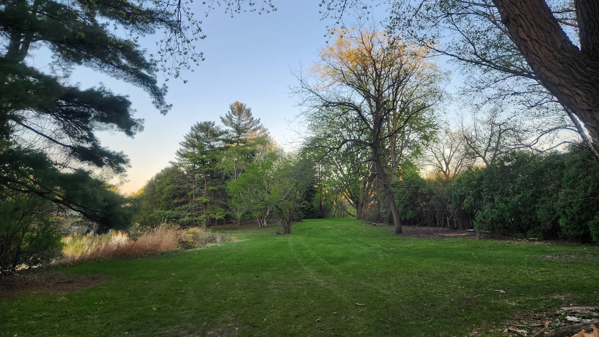 woman wearing yellow long-sleeved dress under white clouds and blue sky during daytime