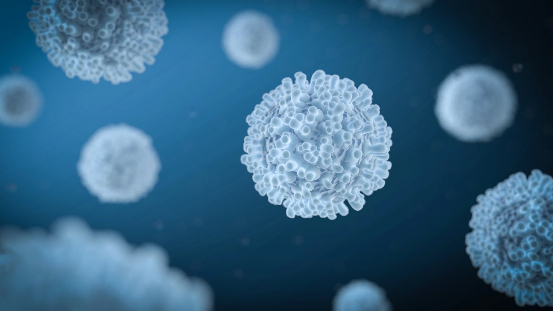 Microscopisch beeld van immuuncellen, visualisatie van het immuunsysteem geactiveerd door transfer factor supplementen