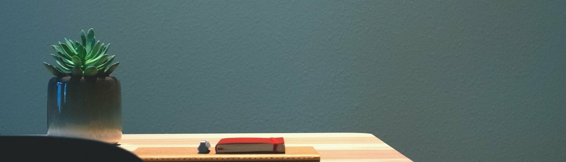 succulent plant on desk