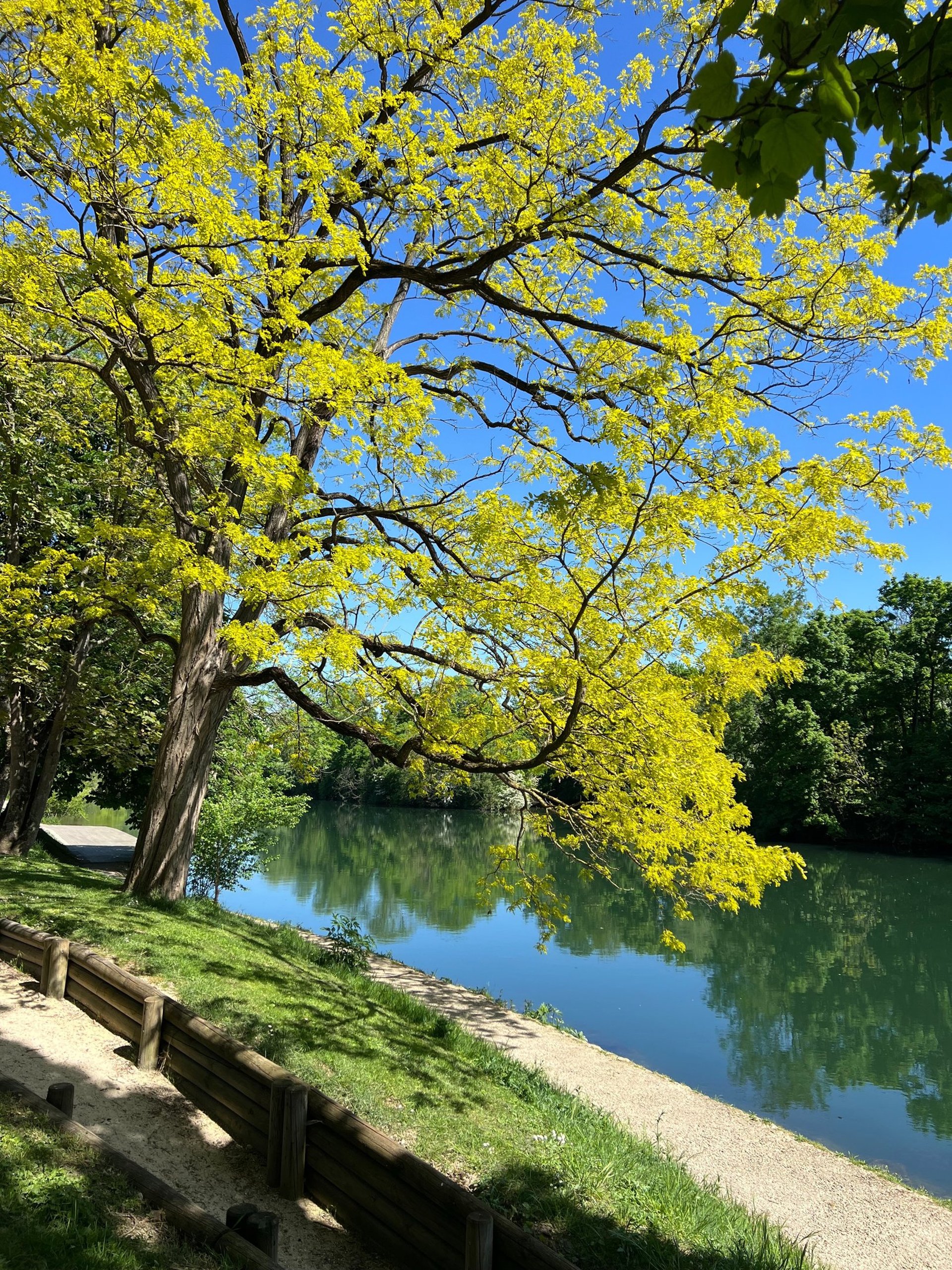 couple wearing silver-colored rings