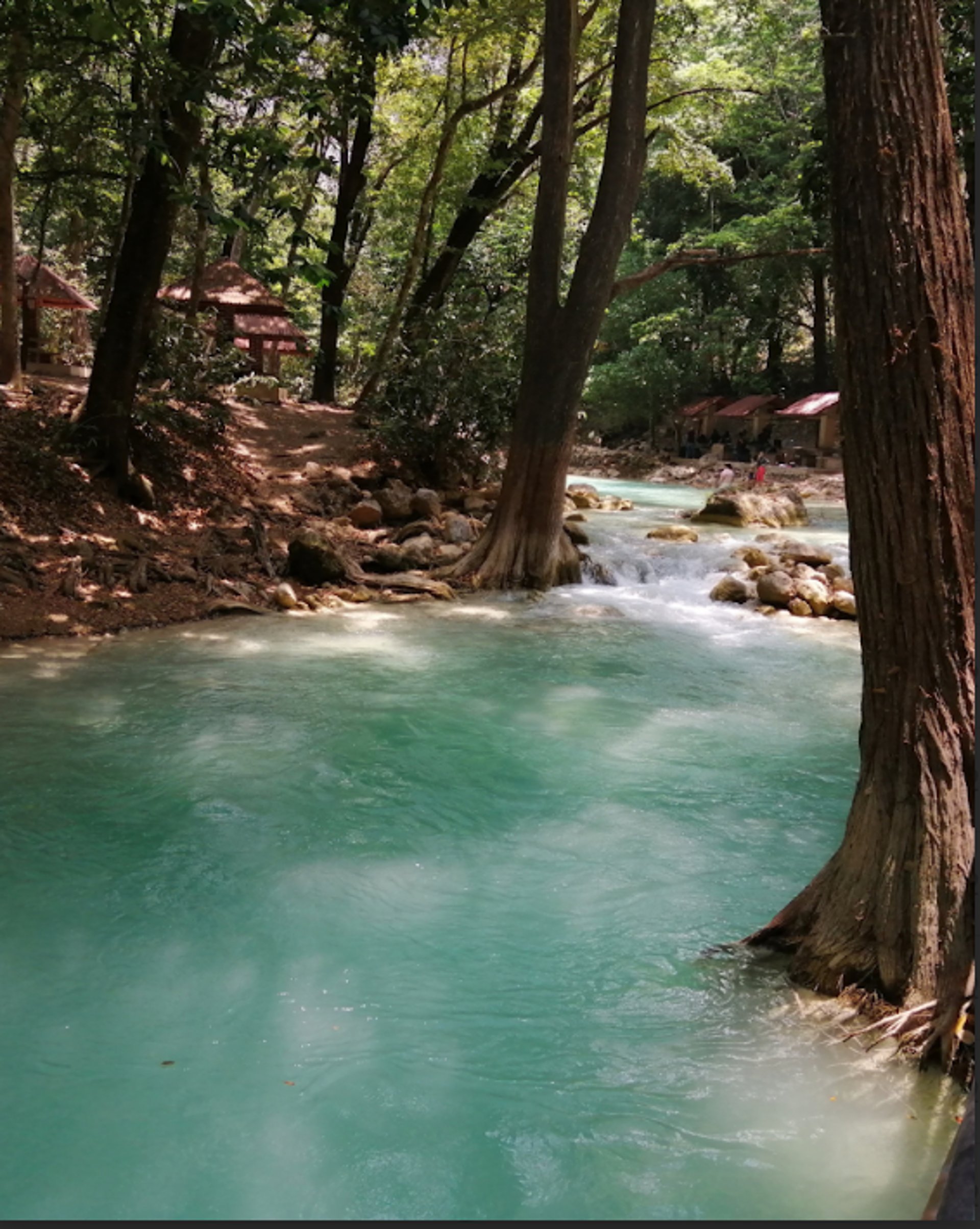 wellness retreat mexico cenote in forest chiapas