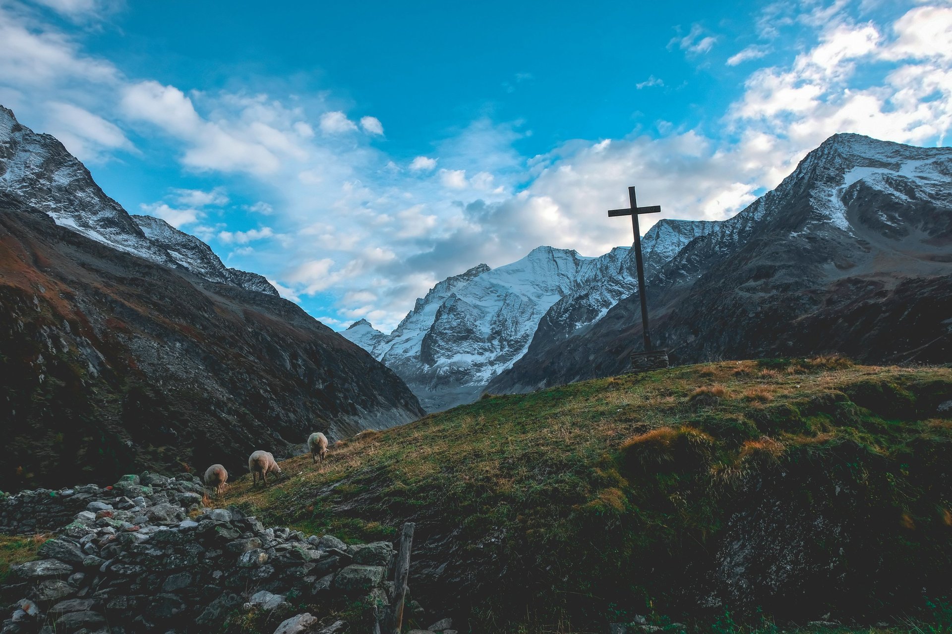 gray cross near tall green trees