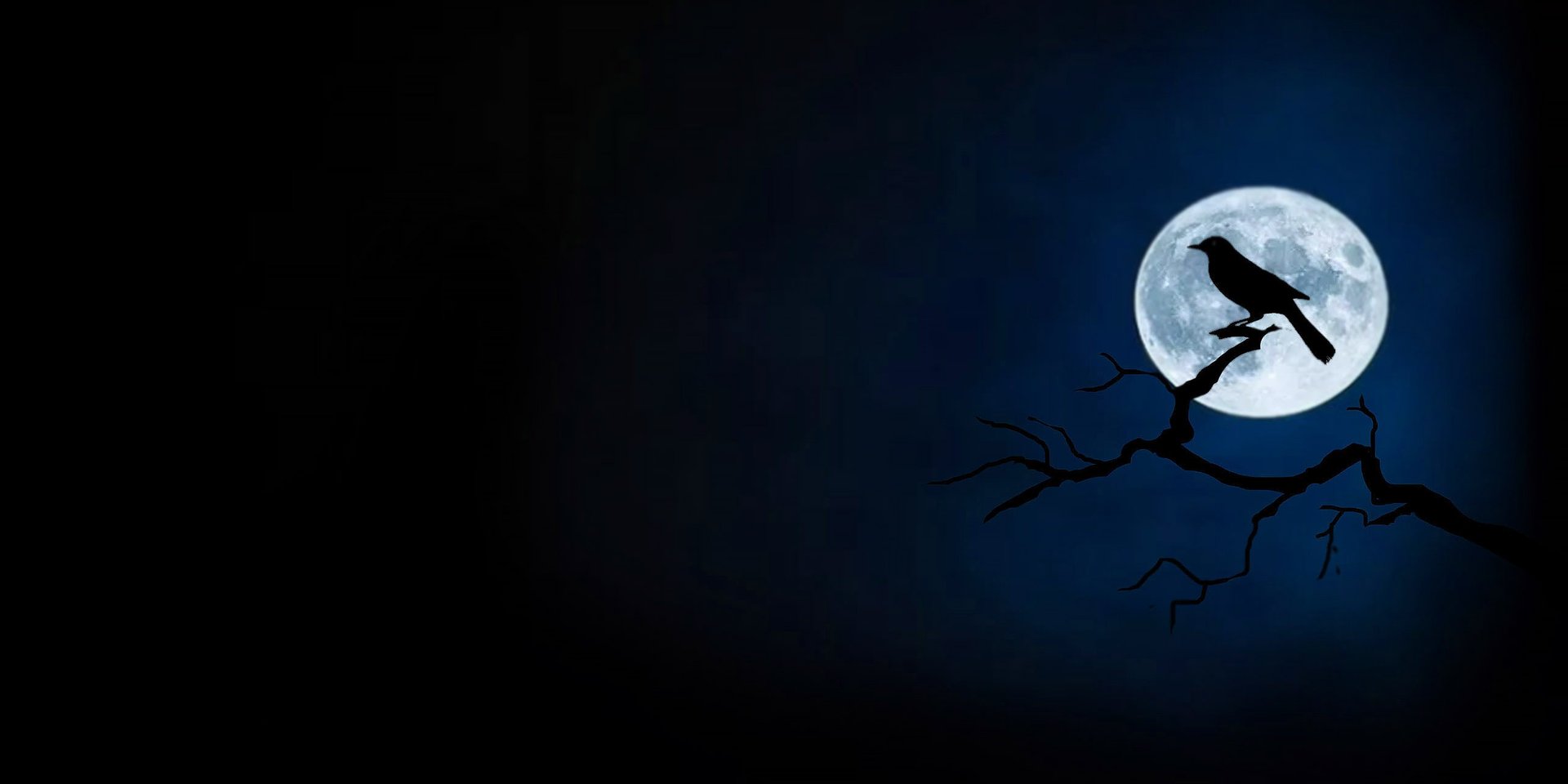 brown concrete building under starry night