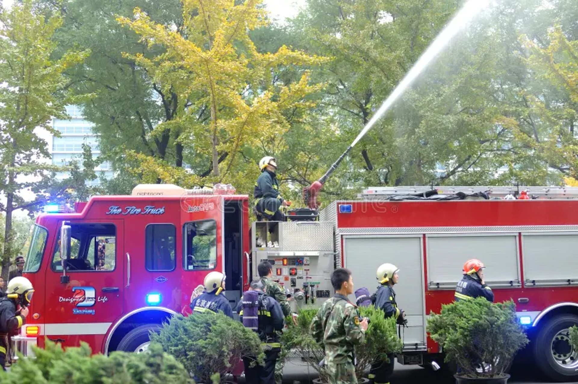 woman wearing yellow long-sleeved dress under white clouds and blue sky during daytime