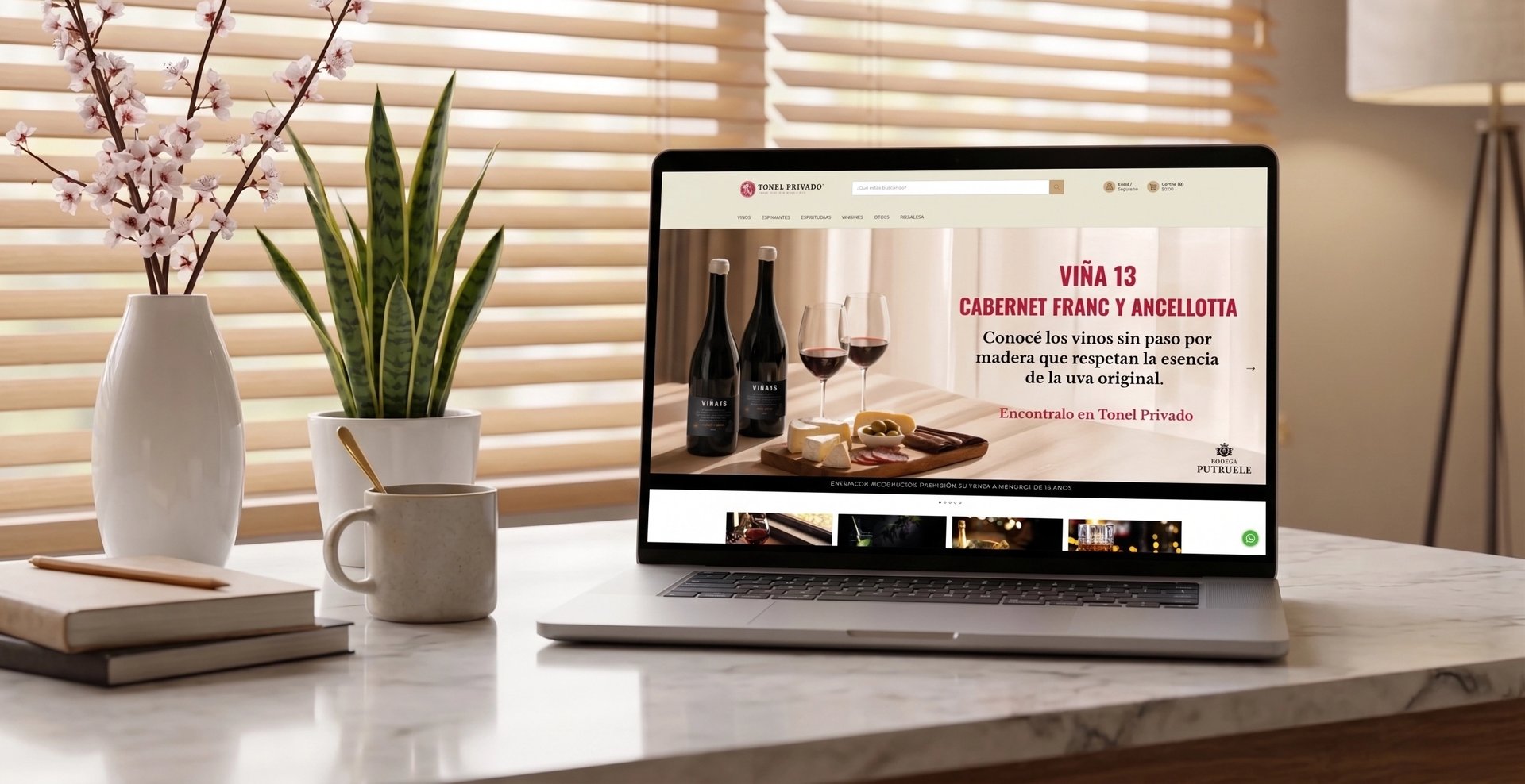 diseno web ecommerce Juana de Arco tienda online moda argentina