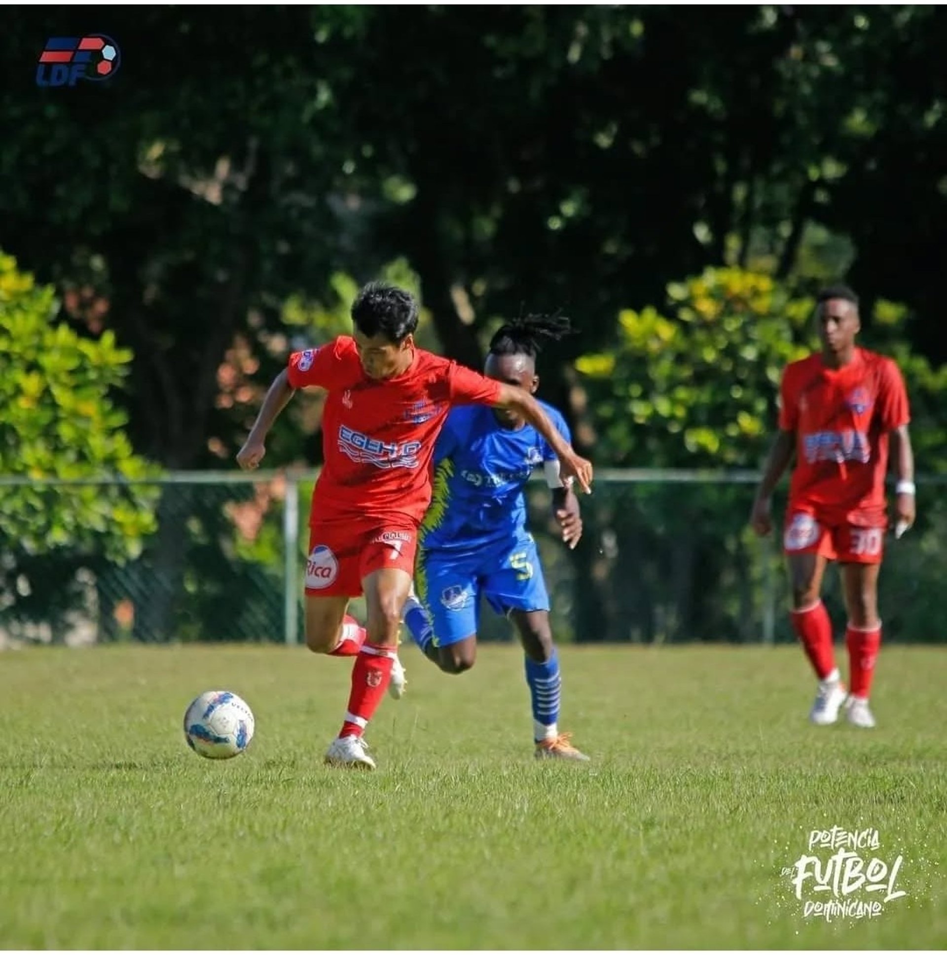 green soccer field inside stadium