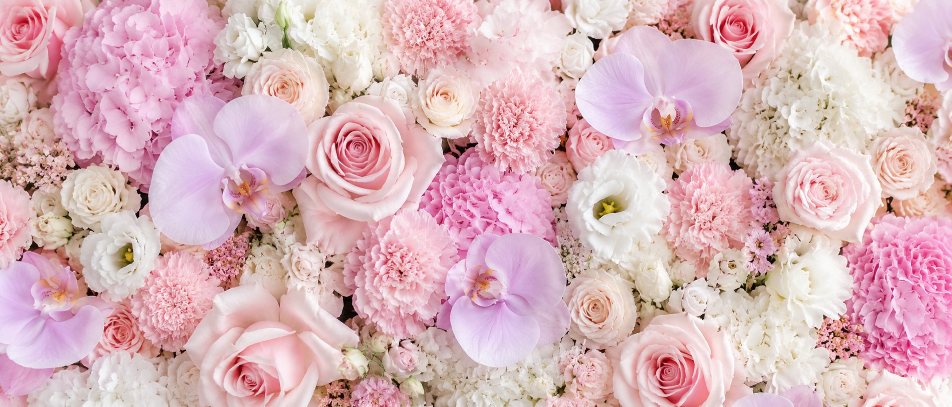 many flowers