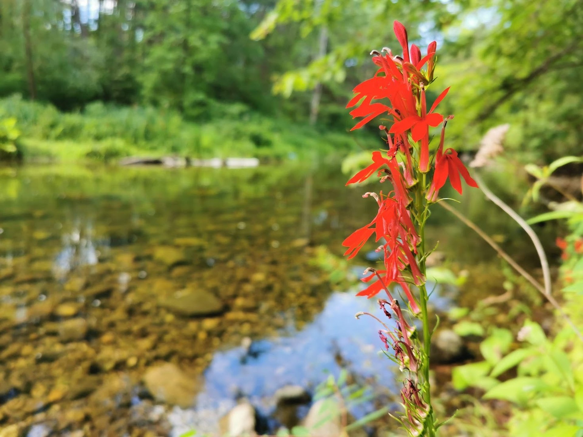 black blue and yellow textile
