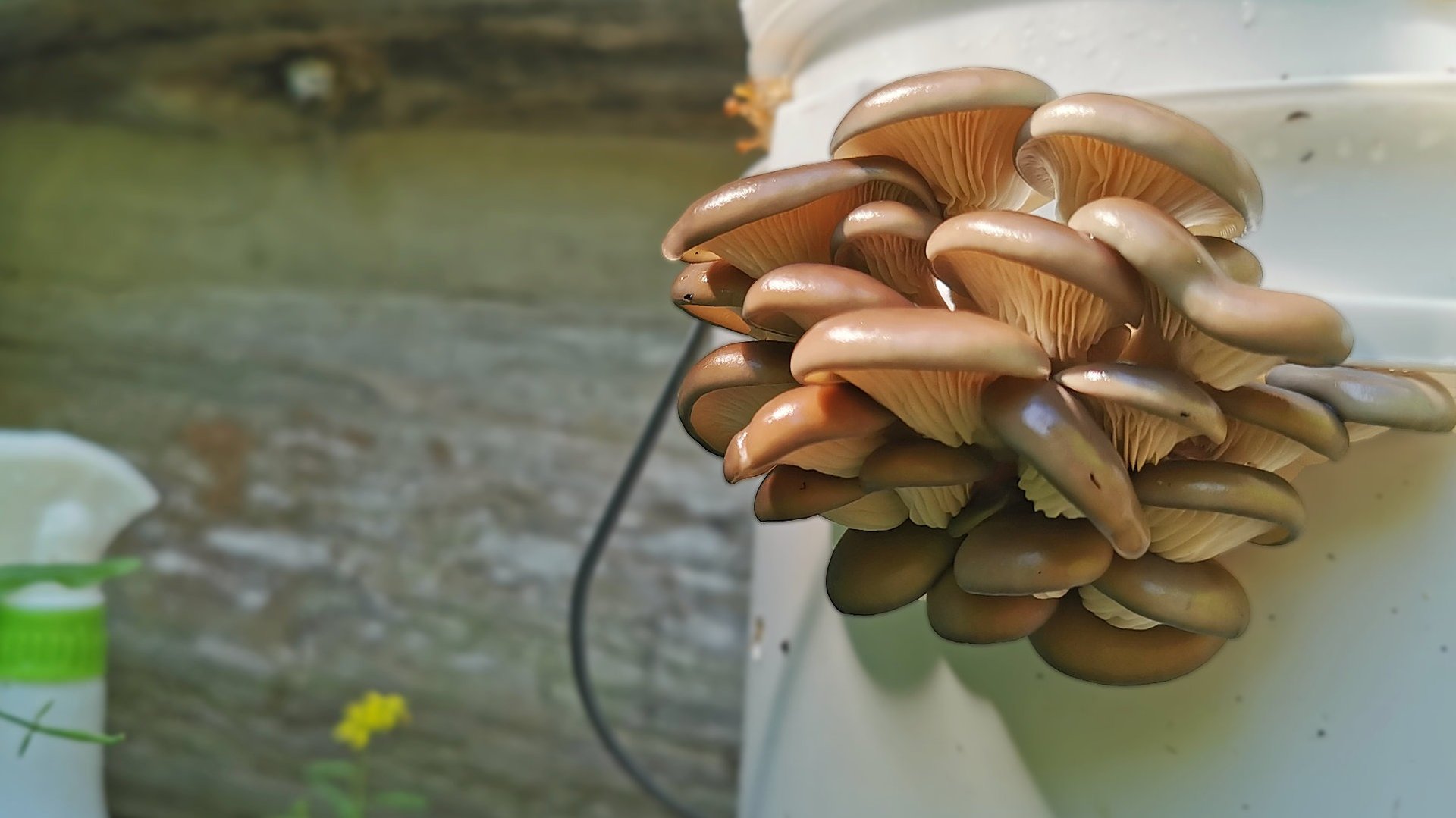 black blue and yellow textile