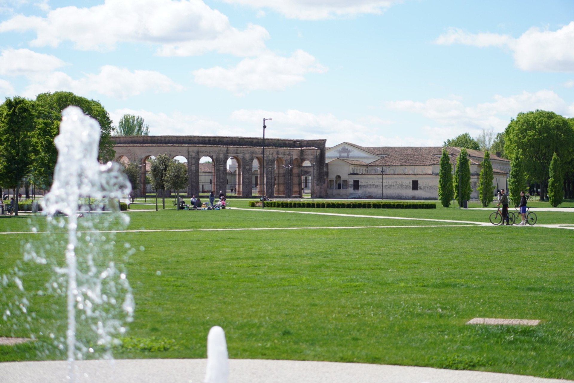 black and white bed linen