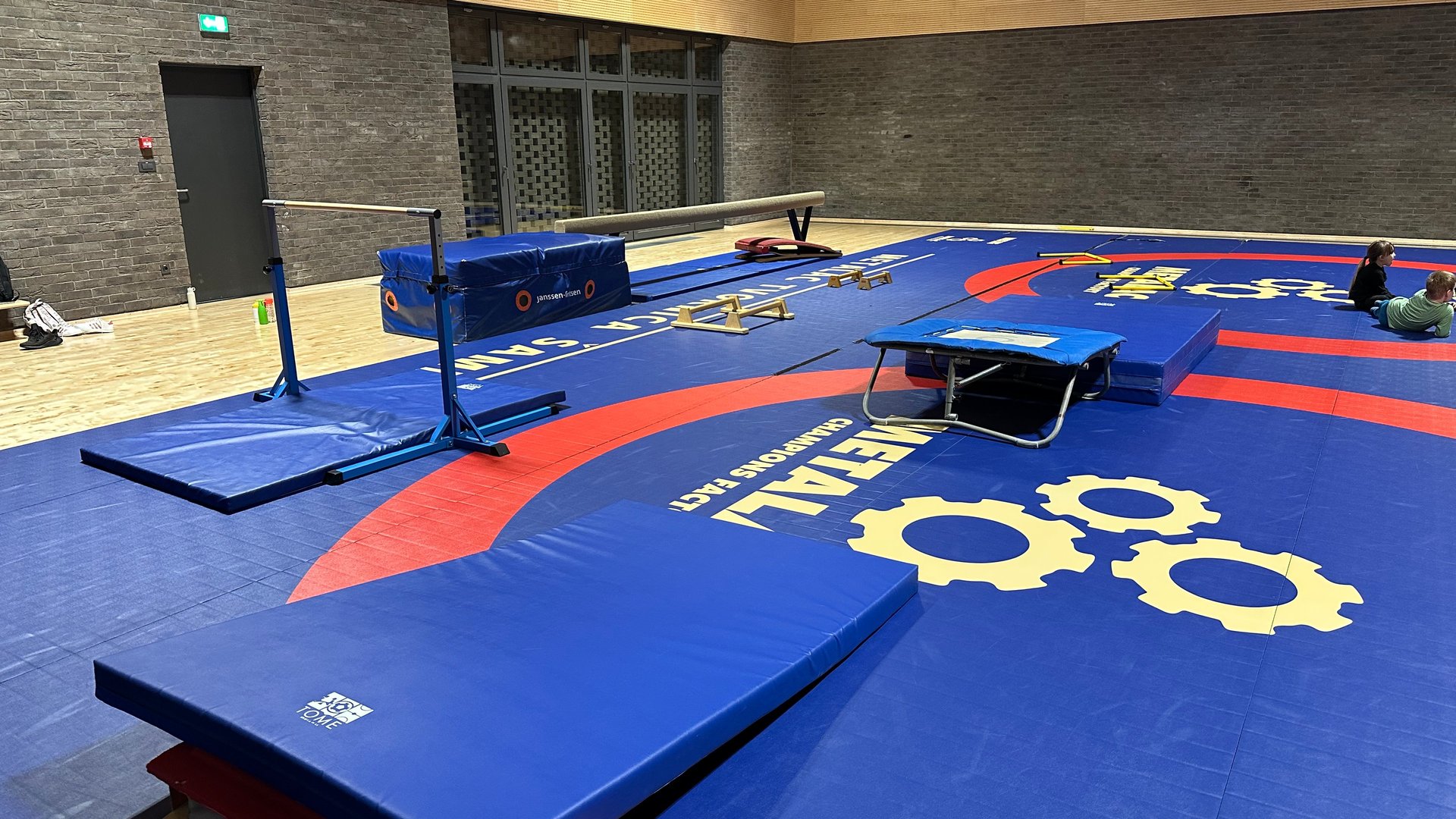 blue and red car in a garage
