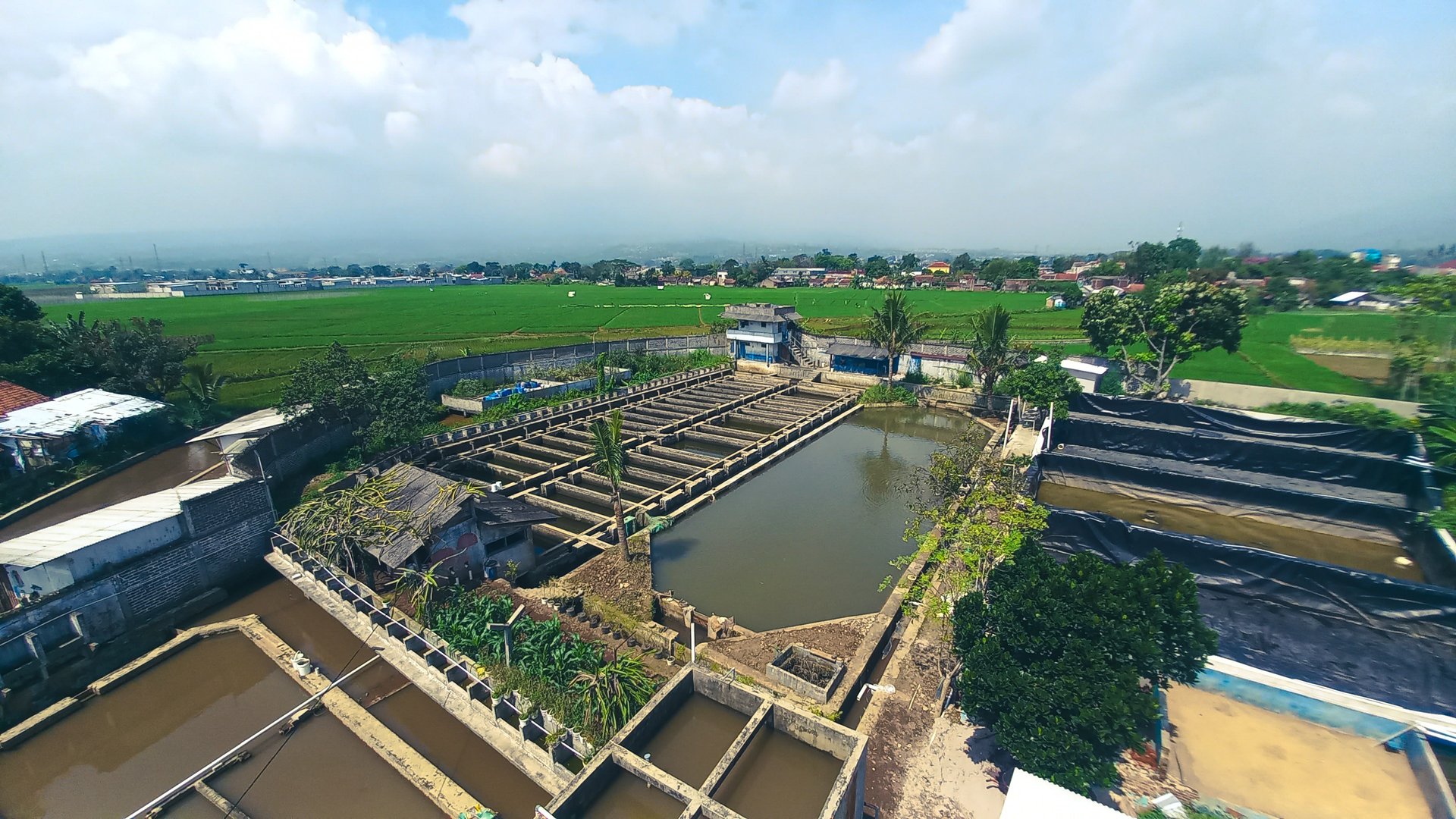 woman wearing yellow long-sleeved dress under white clouds and blue sky during daytime