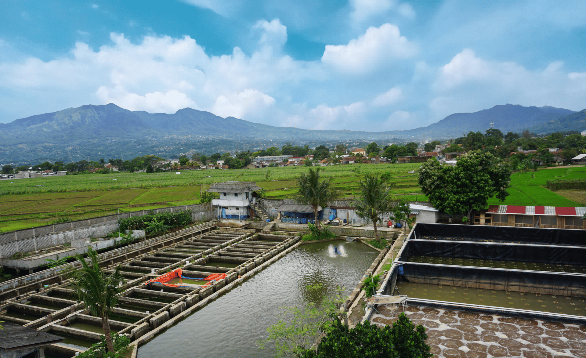 black and white bed linen