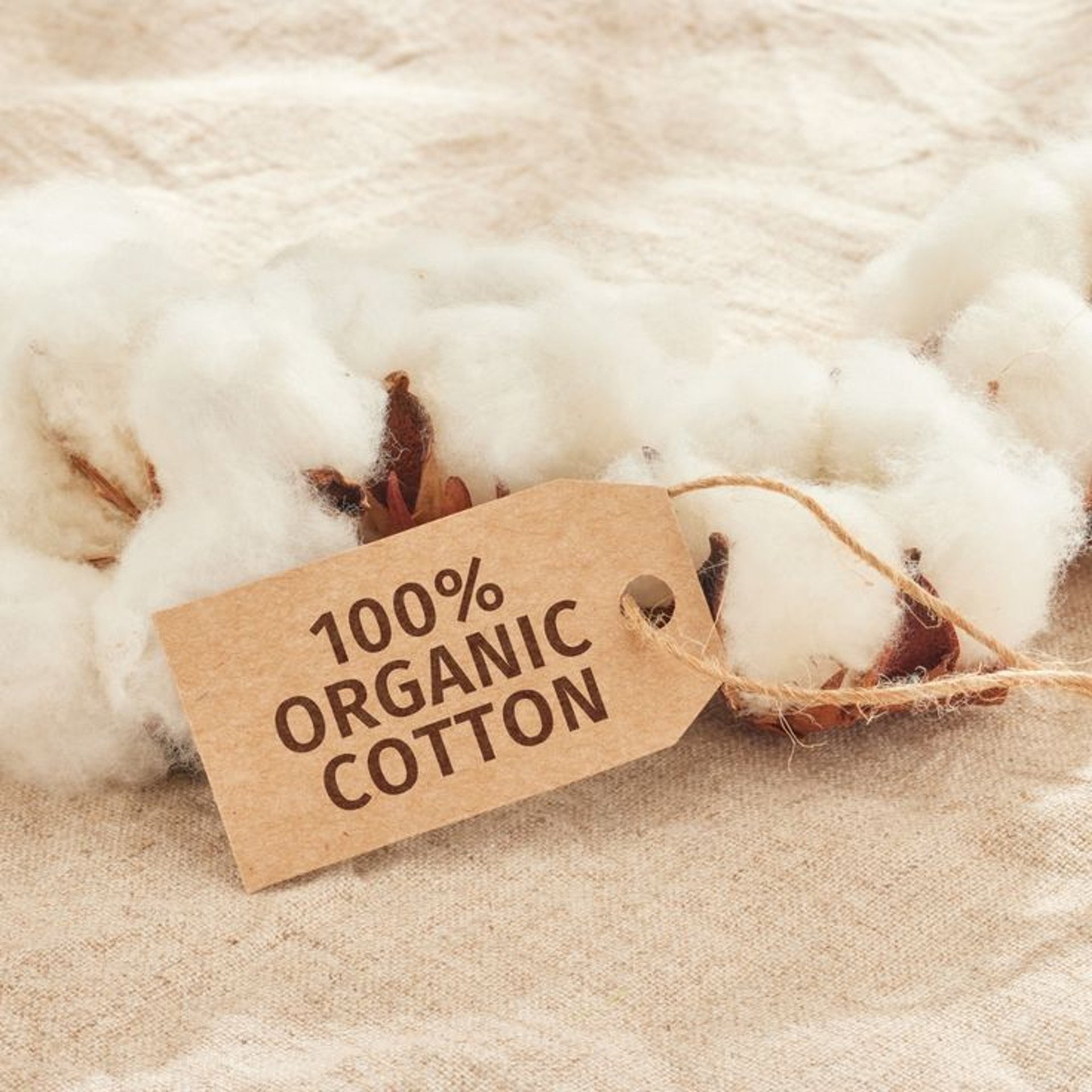 Organic Cotton