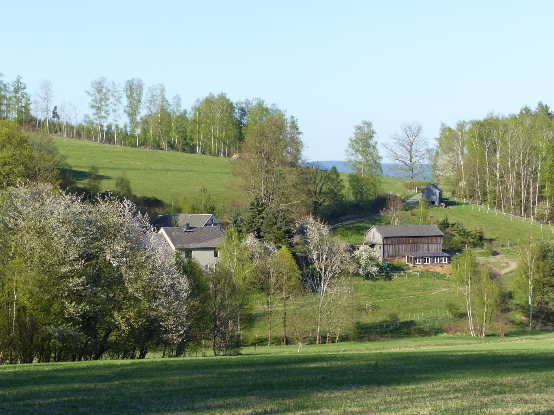 black and white bed linen