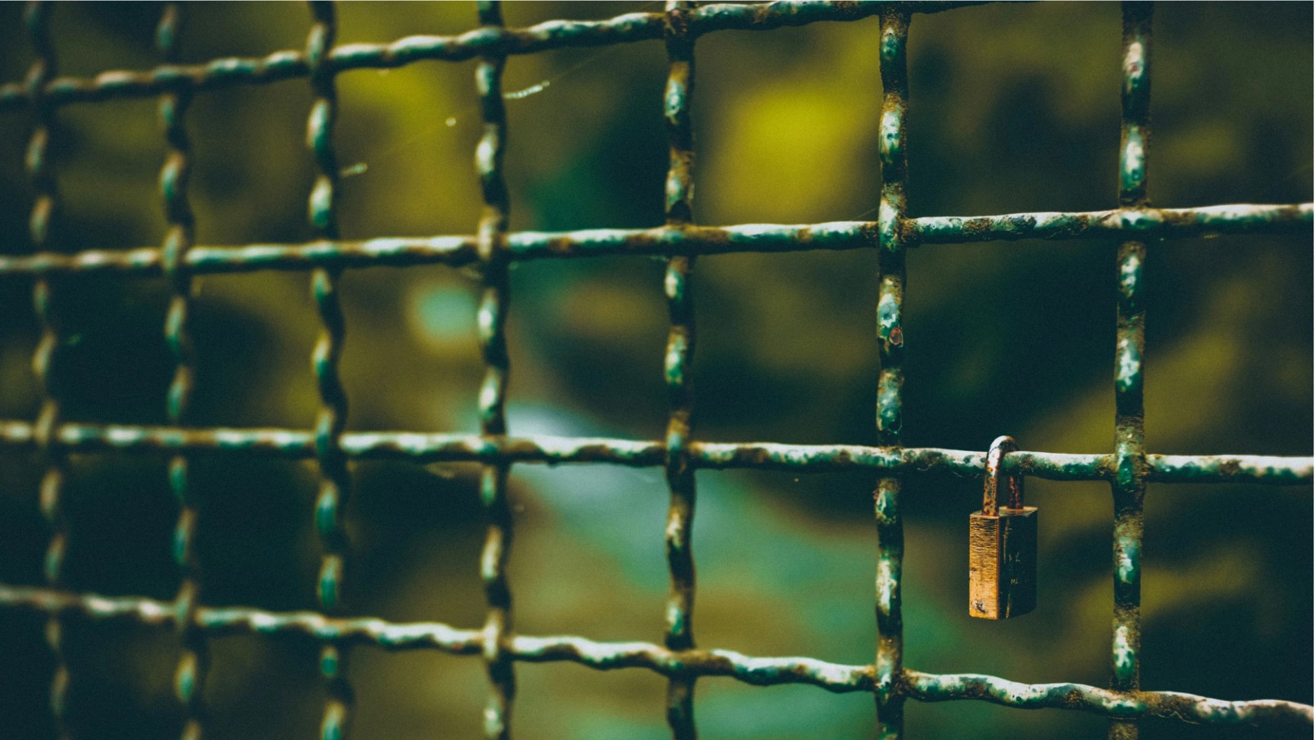 header texmetal treillis ondulé