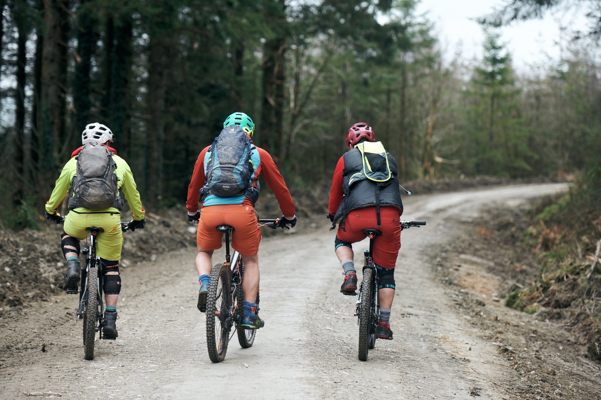Aground of 3 mountain bikers cycling along a forestry road