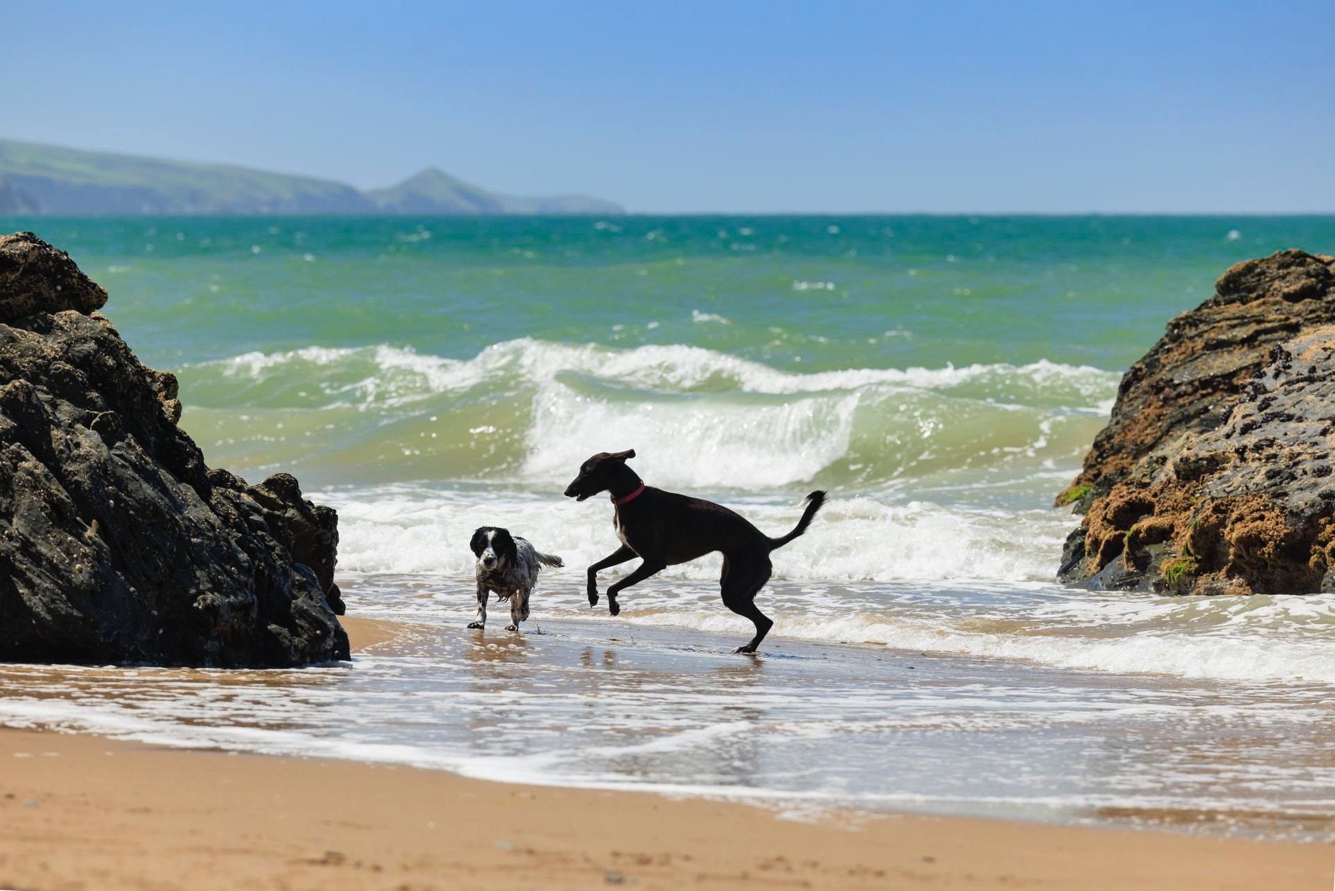a view of the barns with pond in the foreground