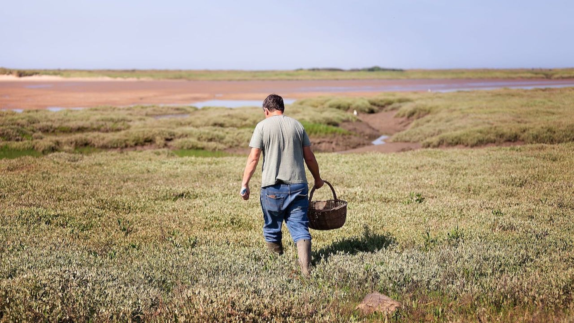 man with a basket coastal foraging