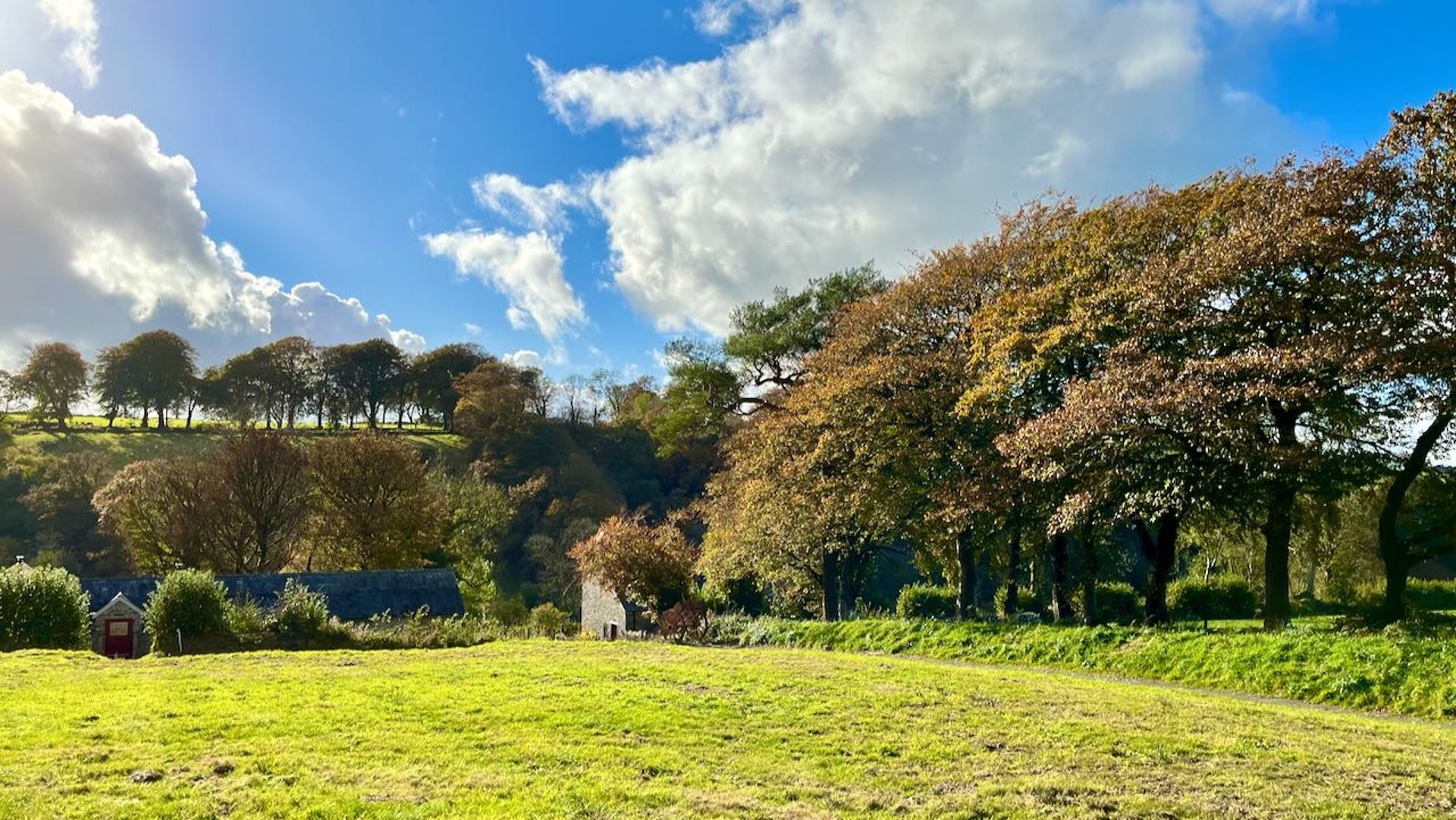 view across the valley with bright sky and beech trees