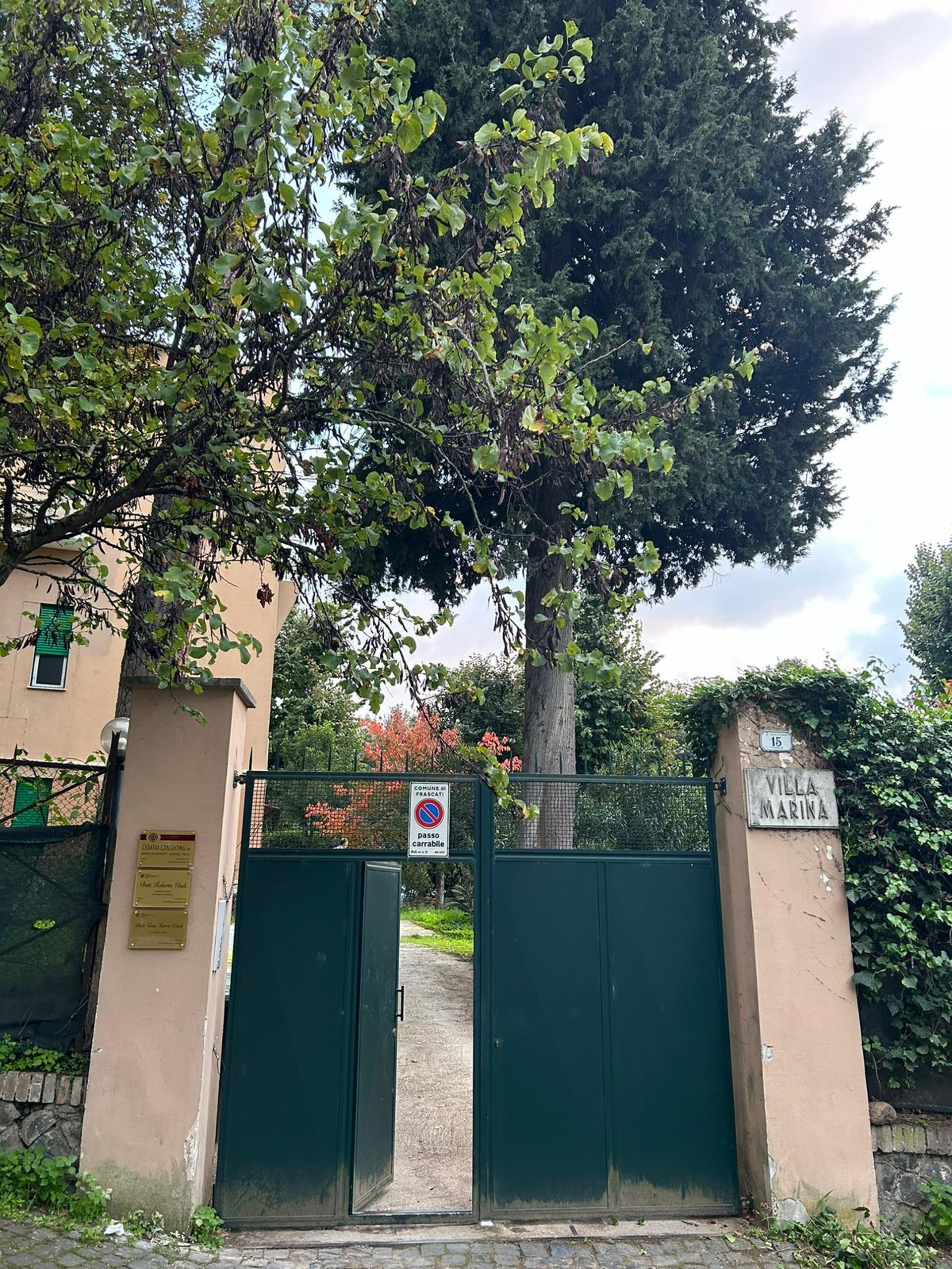 woman wearing yellow long-sleeved dress under white clouds and blue sky during daytime