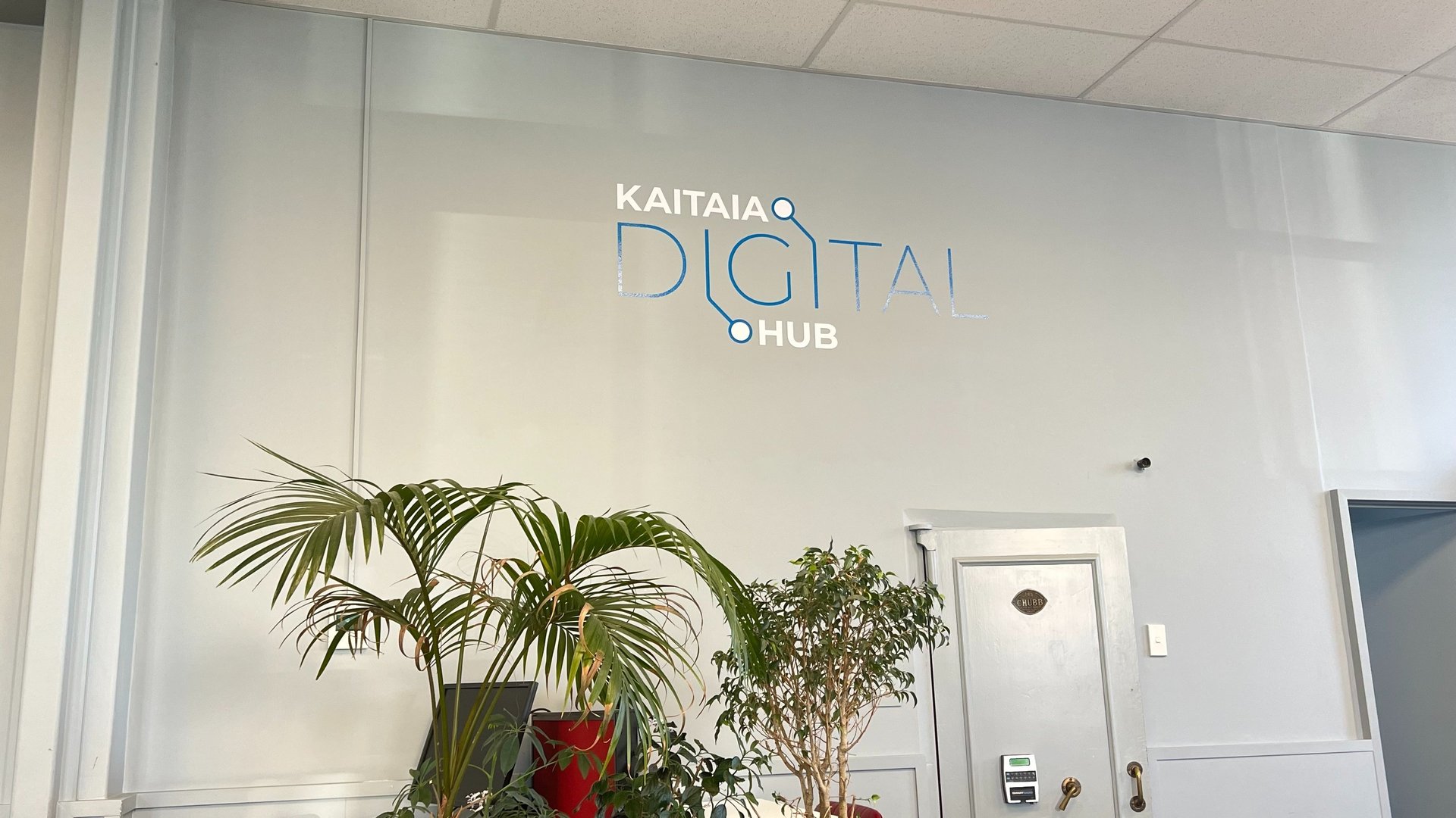 black blue and yellow textile