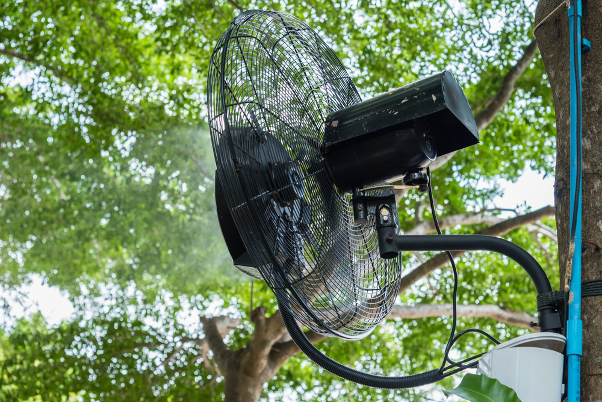 pakistan-mist-fan