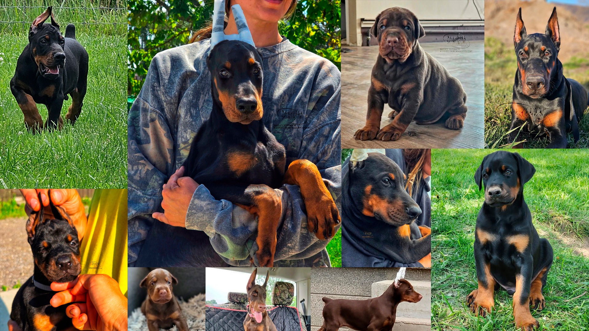 a black sky with a lot of stars