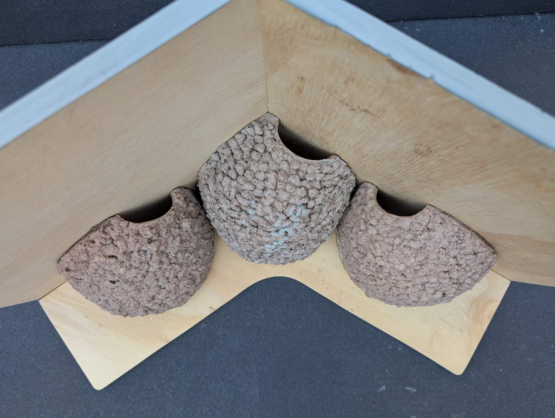set of three House Martinnest cups mounted on a wooden backboard with false wooden eaves