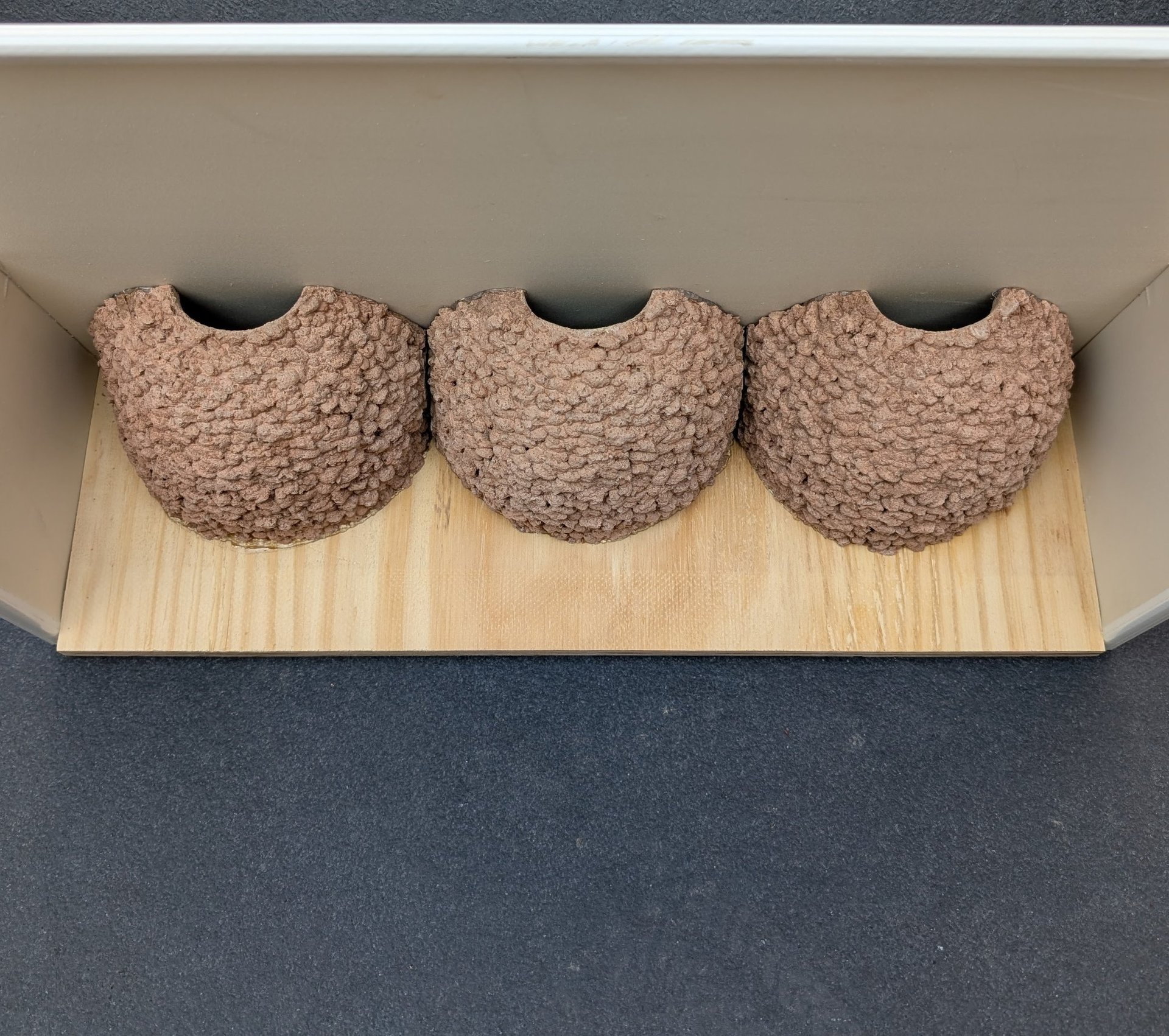 triple-house-martin-nest-cup-with-upvc-false-eaves--by-nest-cup-box