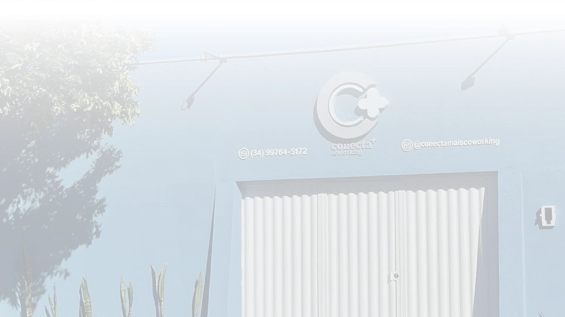 Fundo Site