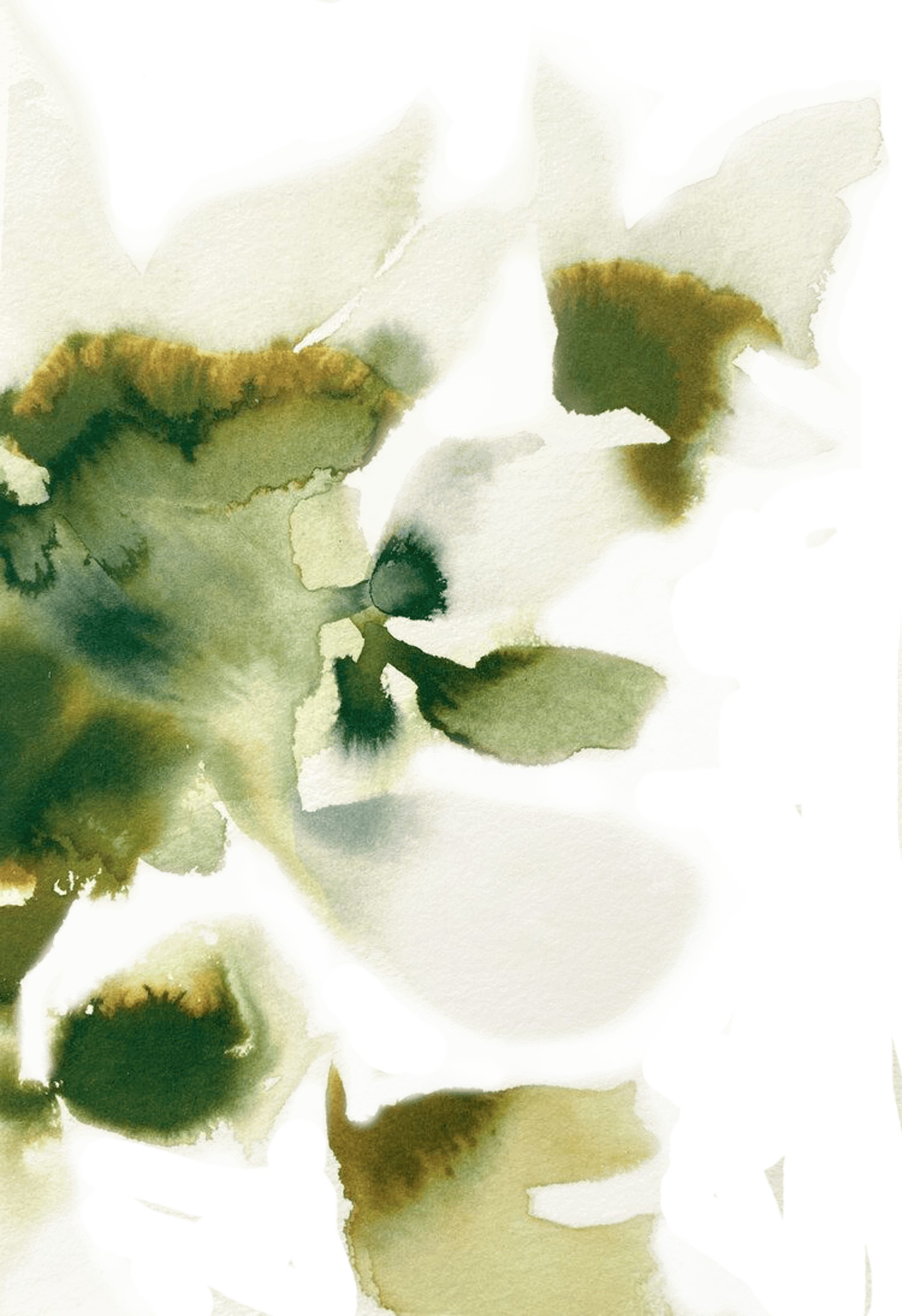 couple wearing silver-colored rings