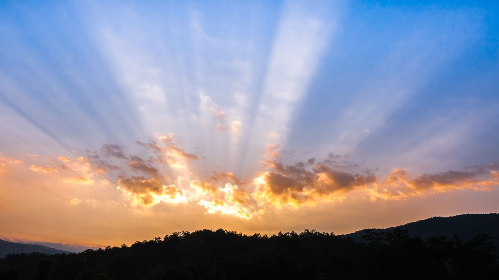 silhouette of man on boat during sunset