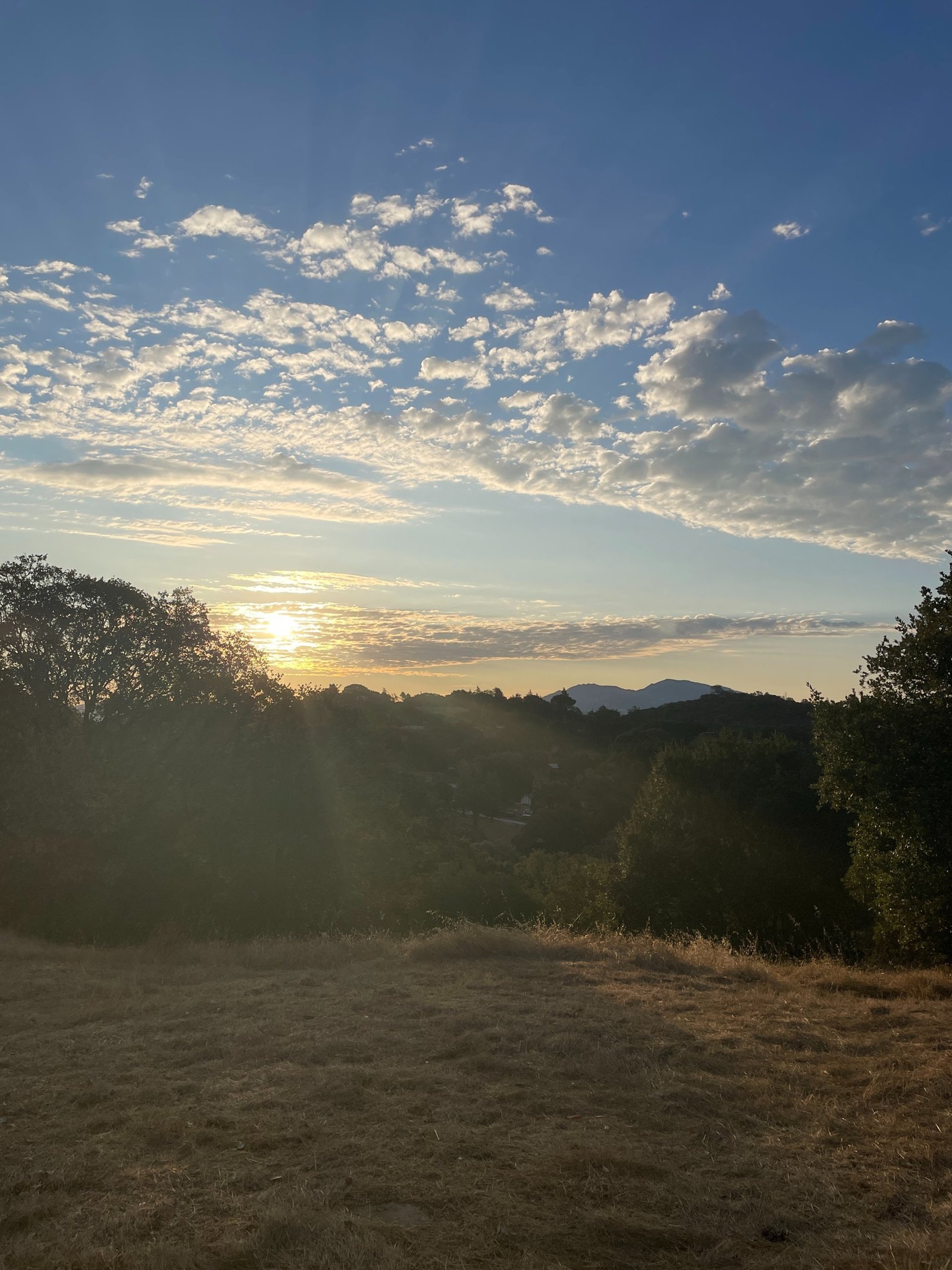 green grass field during sunset