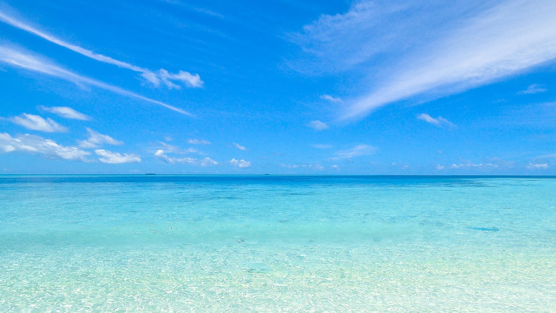 an abstract photo of a curved building with a blue sky in the background